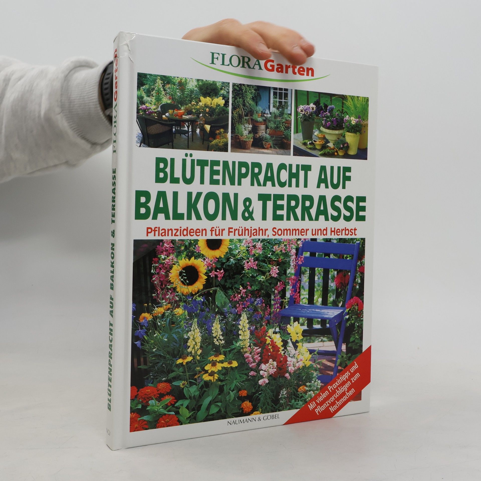 Holger Radloff Blütenpracht auf Balkon & Terrasse