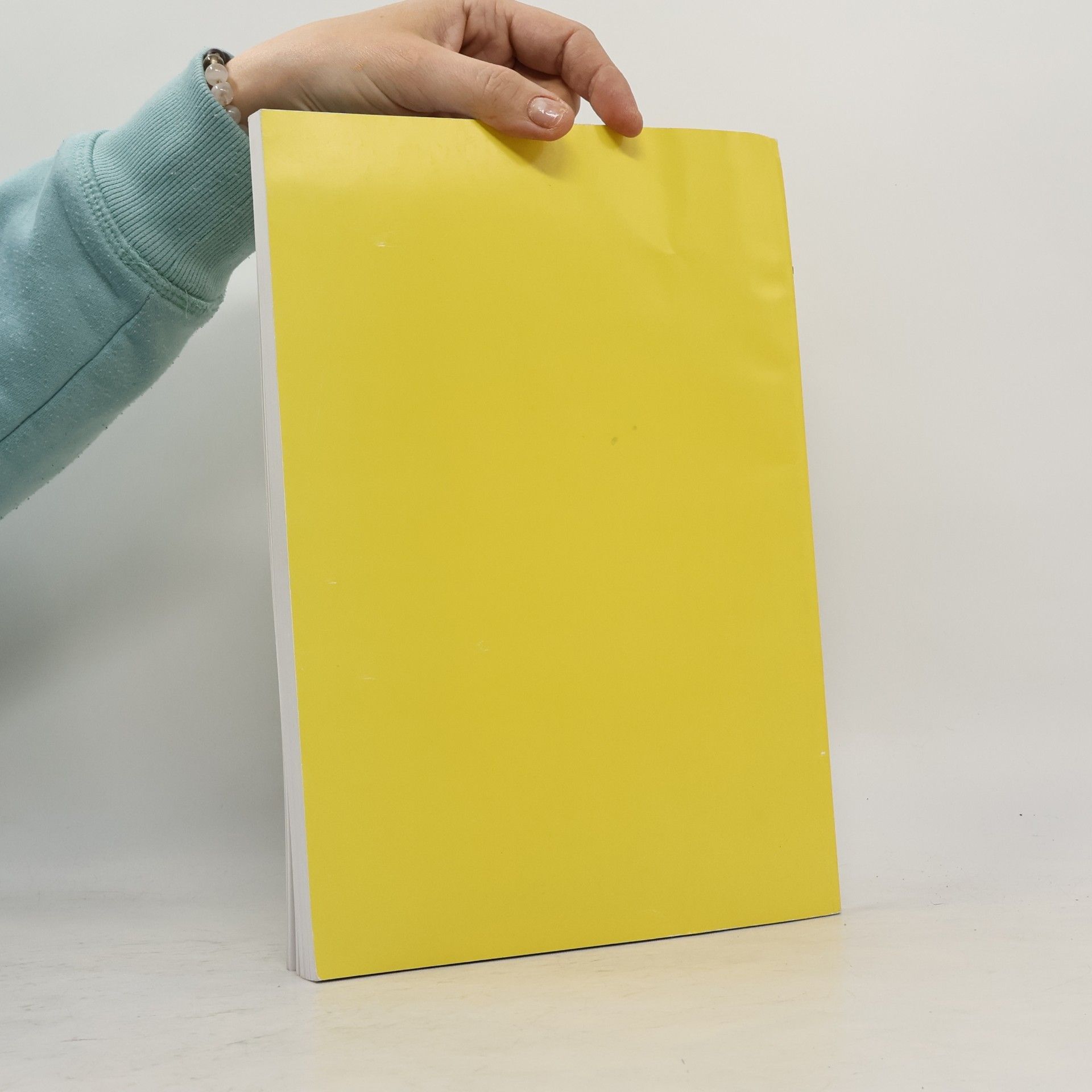 Autorenkollektiv Lemon 3