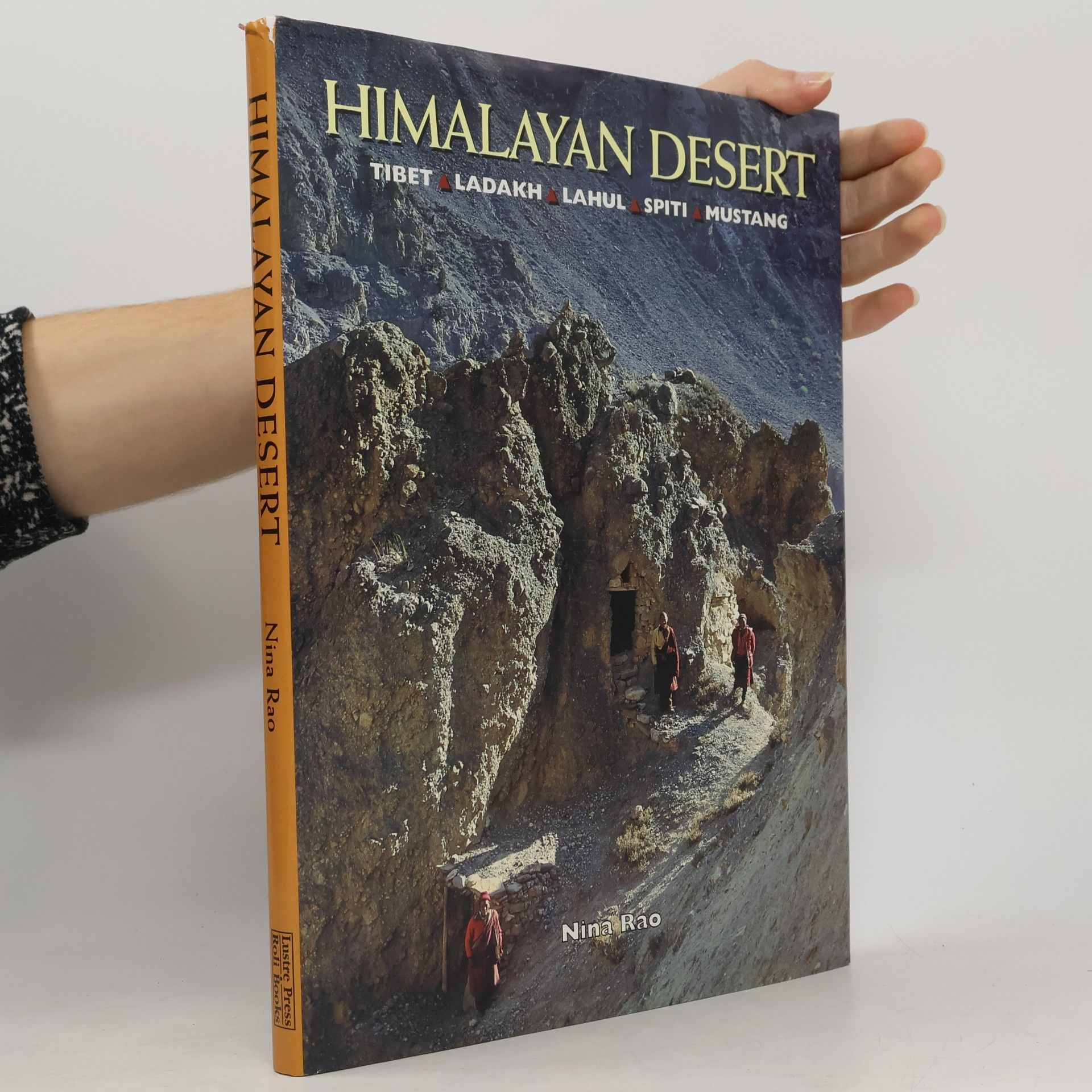 Nina Rao Himalayan Desert