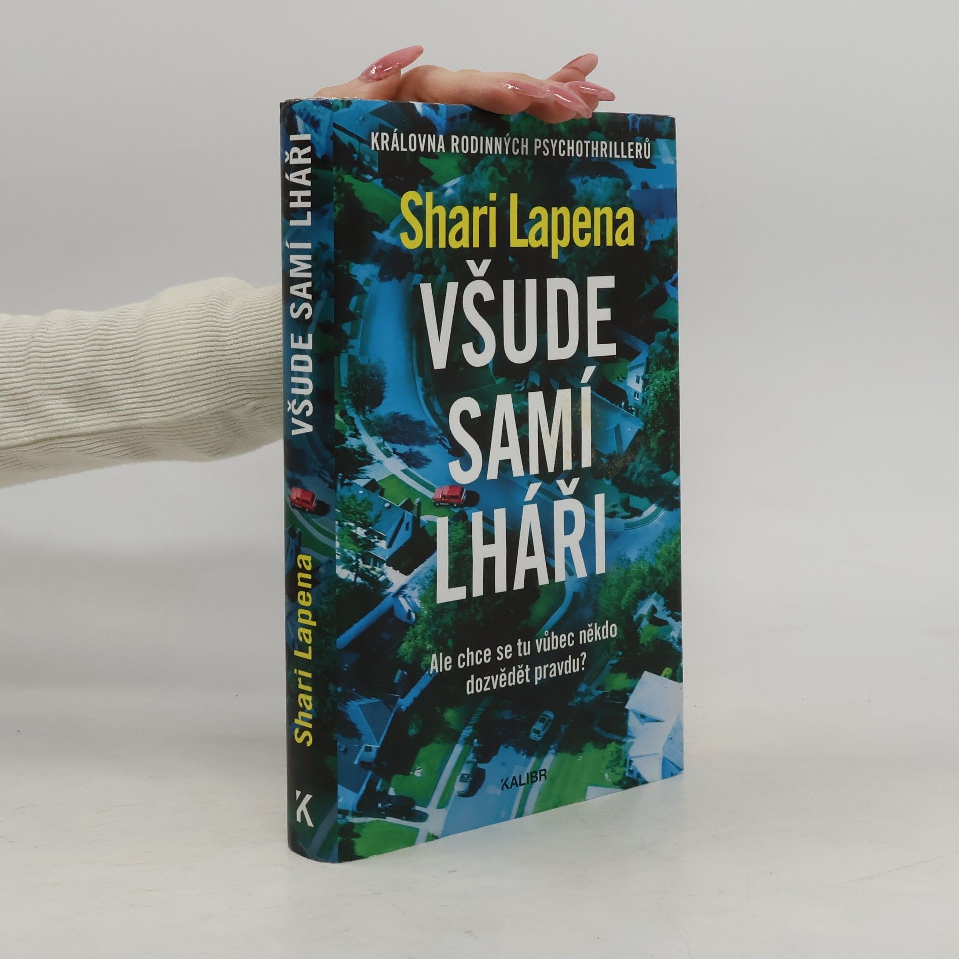 Shari Lapena Všude samí lháři