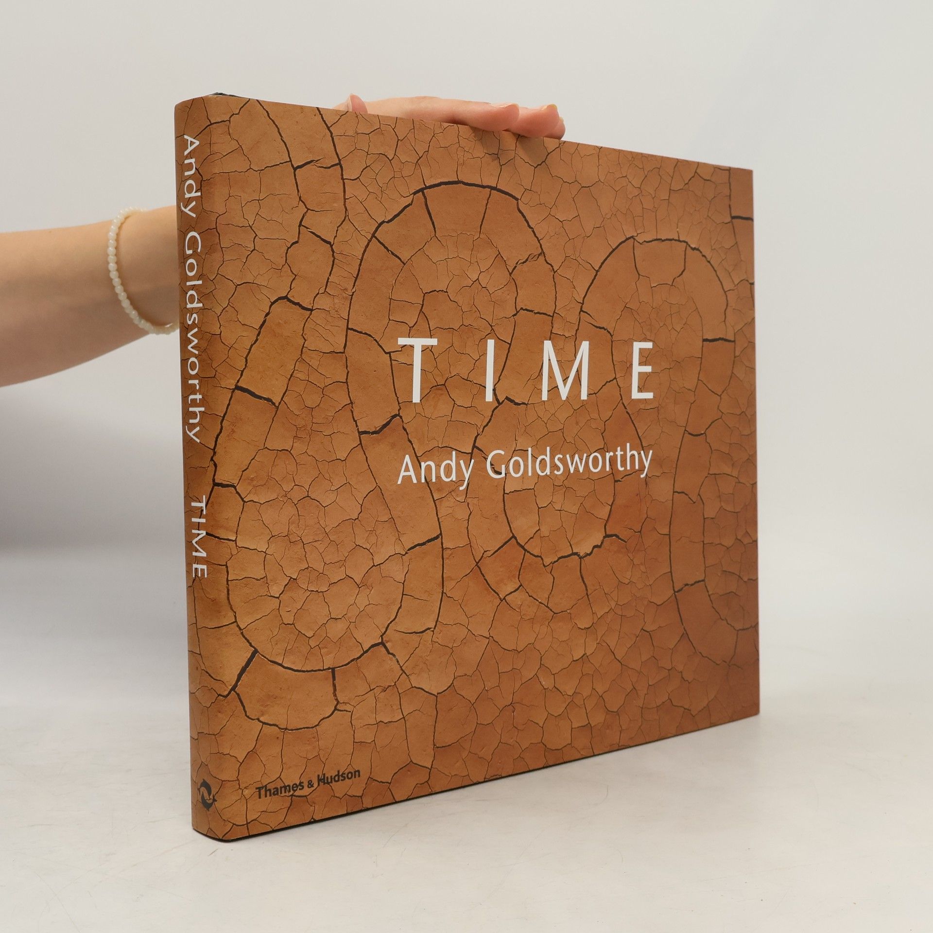 Andy Goldsworthy Time