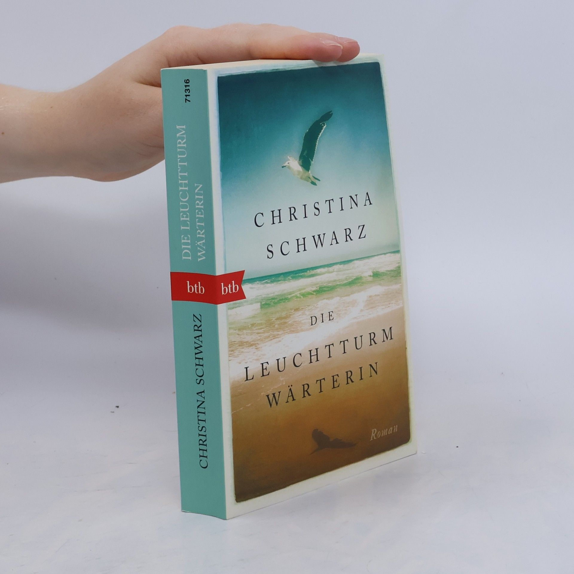 Christina Schwarz Die Leuchtturmwärterin