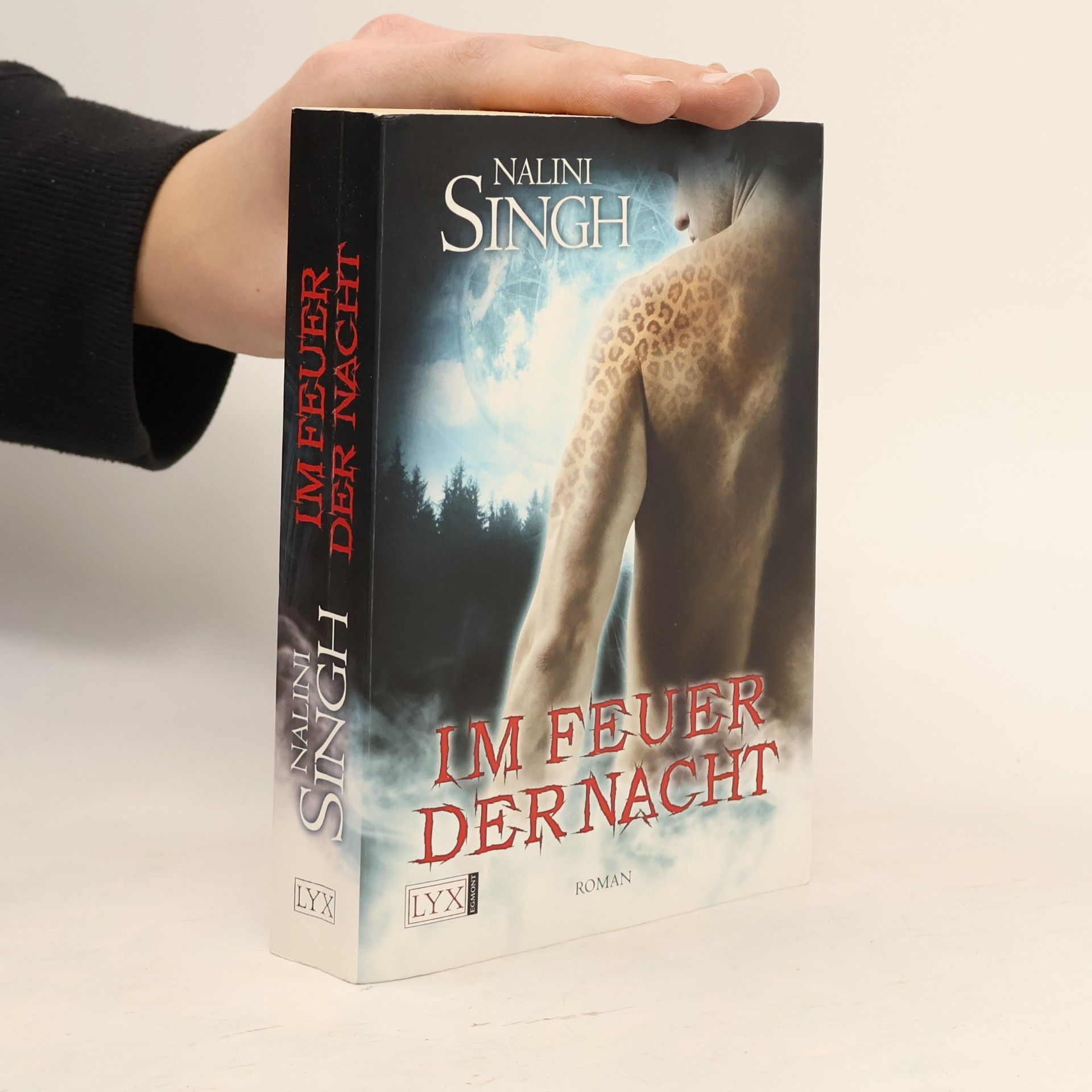 Nalini Singh Im Feuer der Nacht