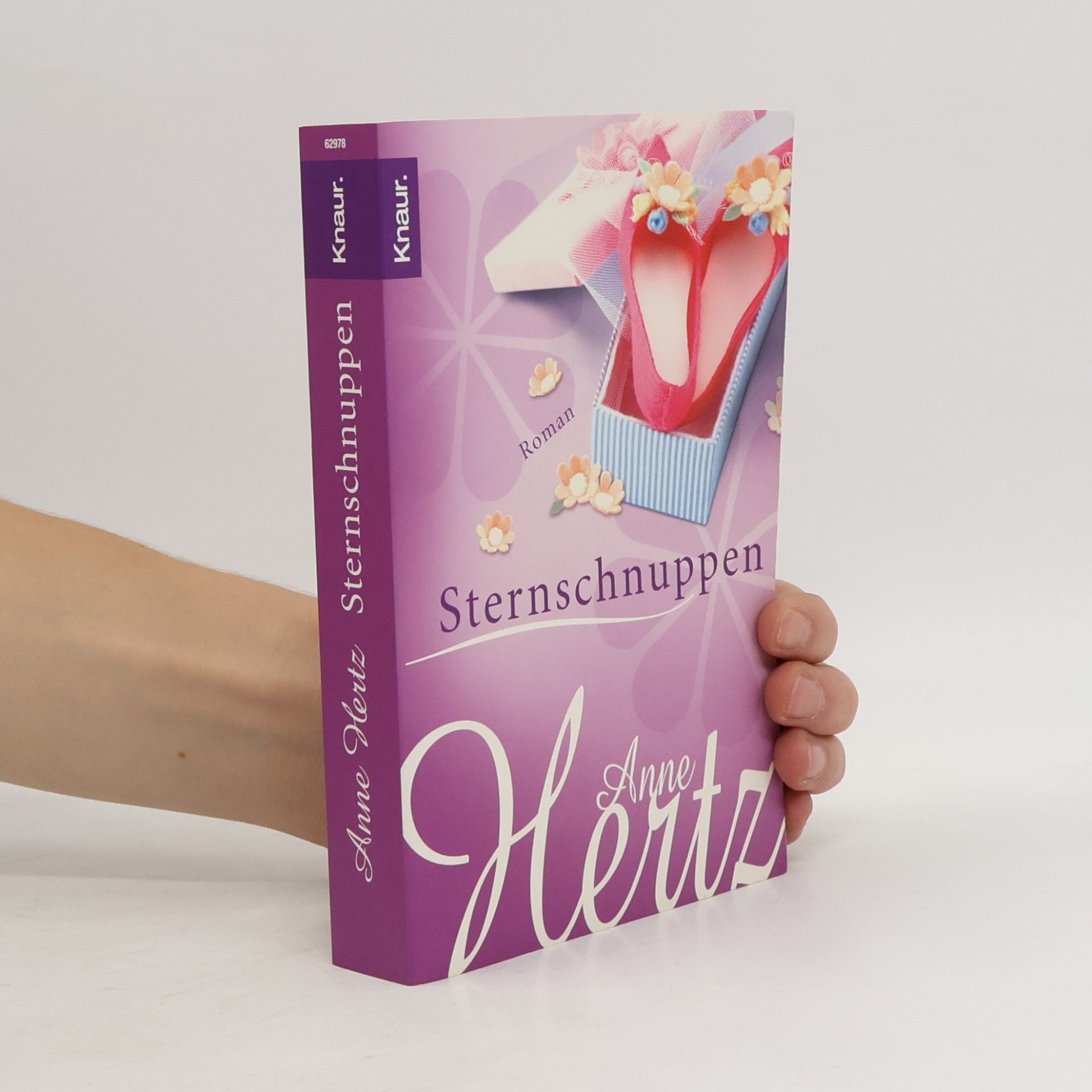 Anne Hertz Sternschnuppen