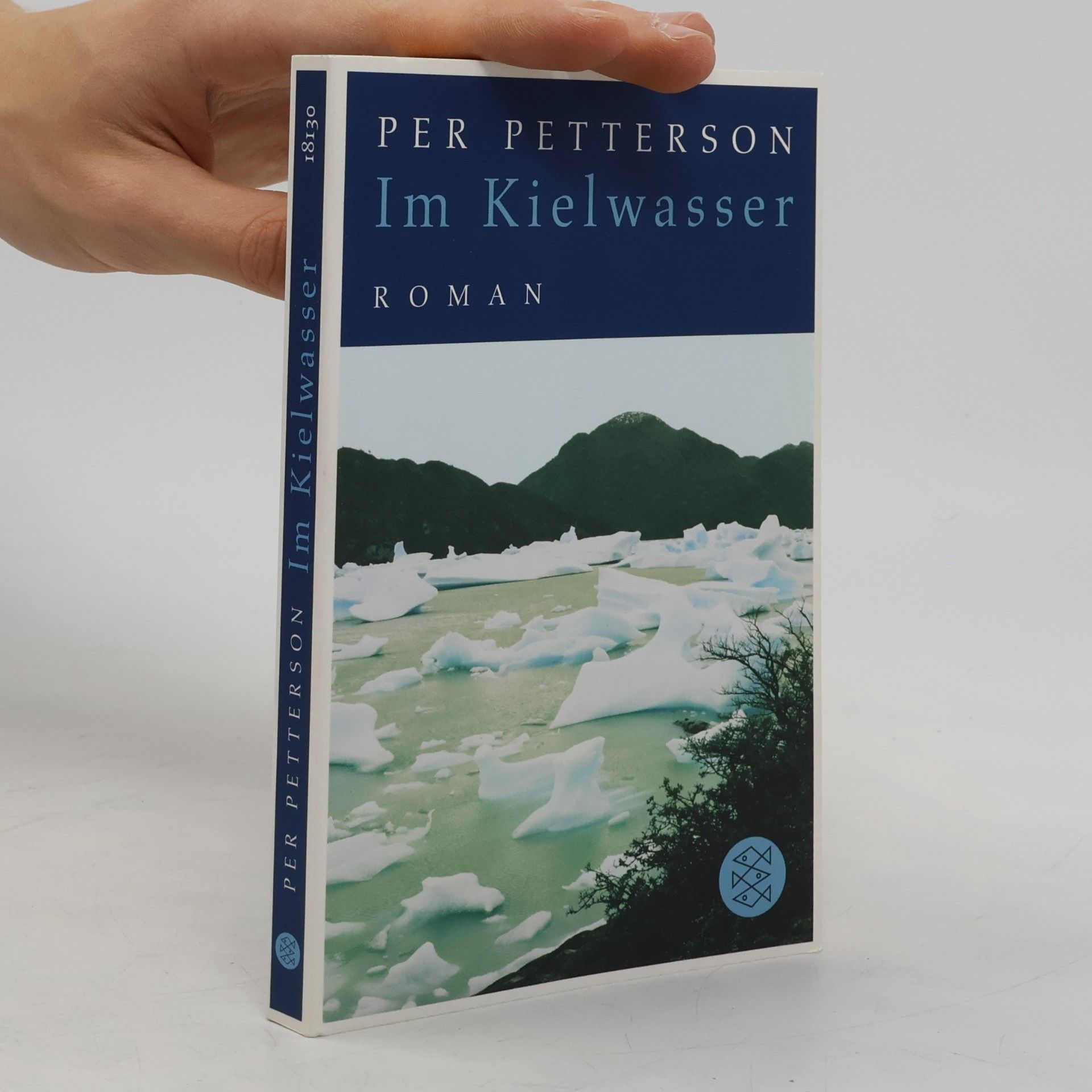 Per Petterson Im Kielwasser