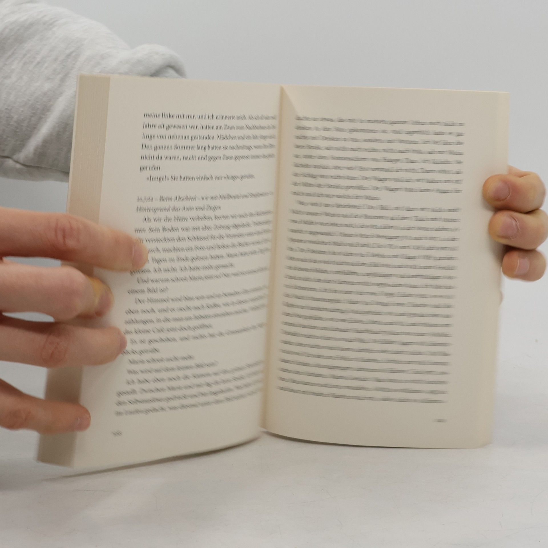Judith Kuckart Die Autorenwitwe