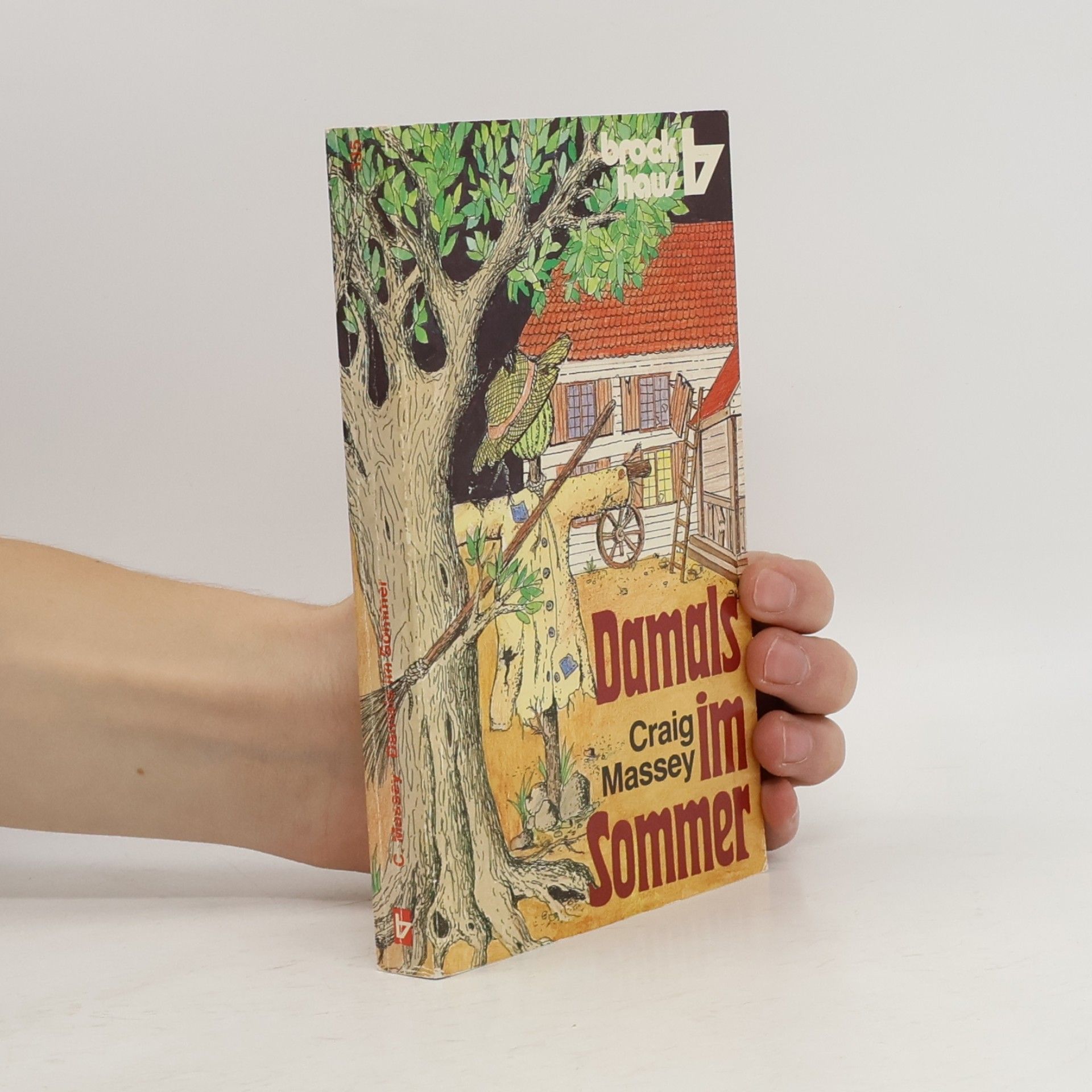RBtaschenbücher - 4: Damals im Sommer