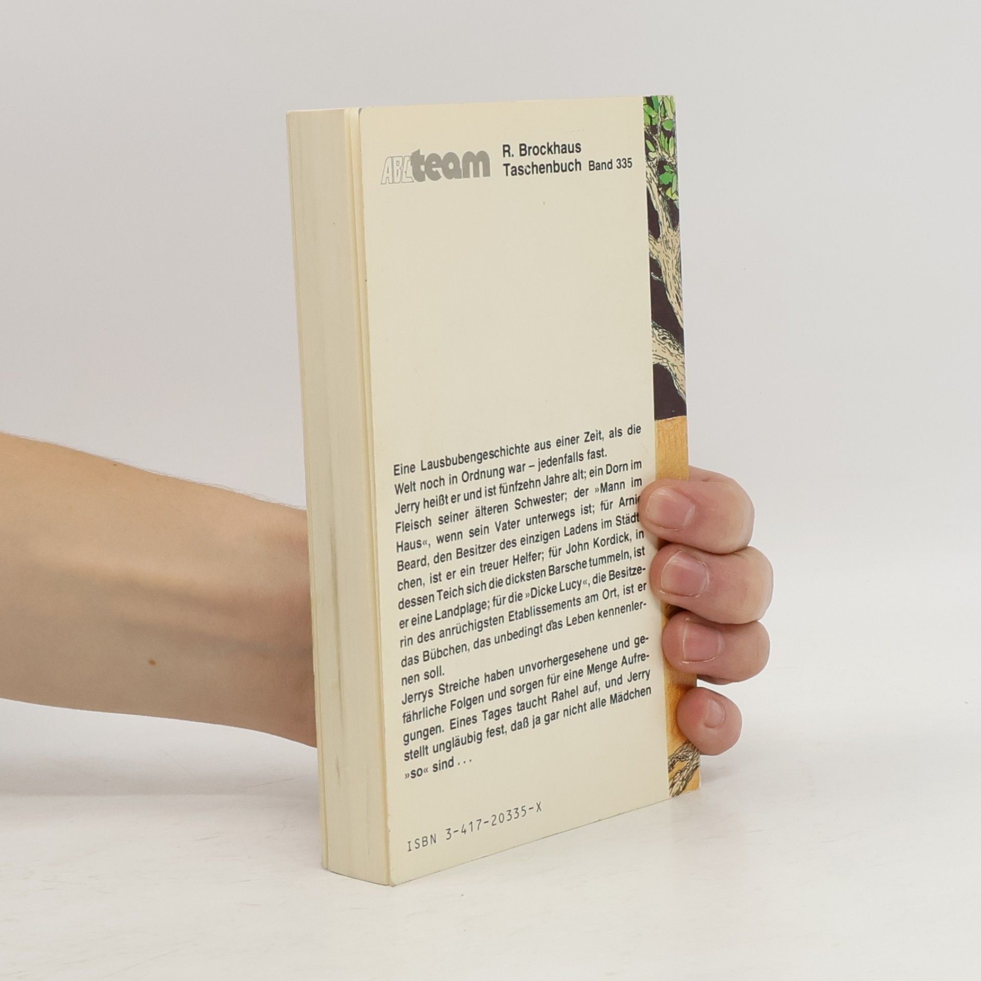 Craig Massey RBtaschenbücher - 4: Damals im Sommer