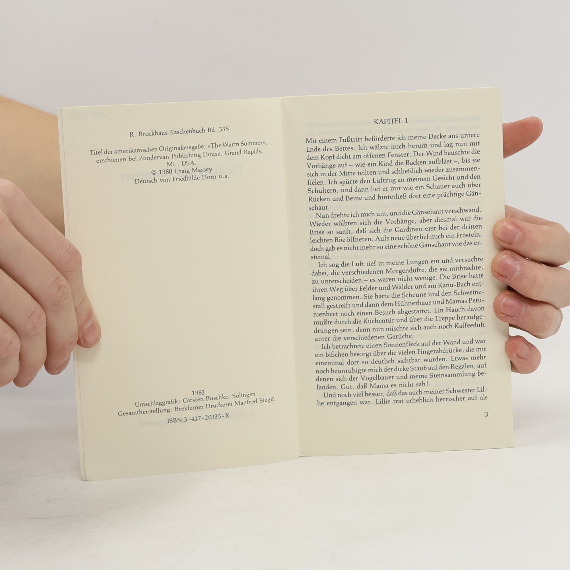 Craig Massey RBtaschenbücher - 4: Damals im Sommer