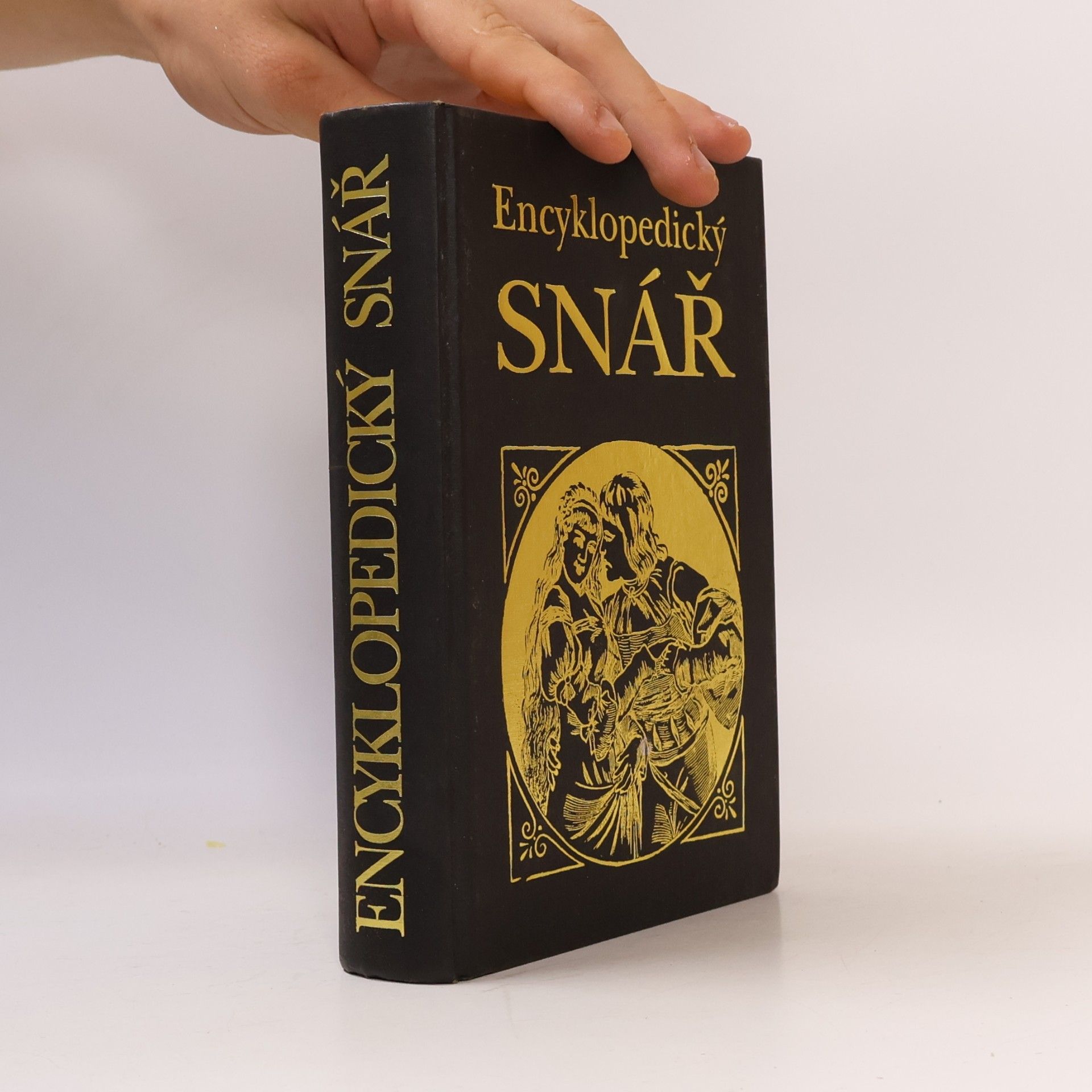 Autorenkollektiv Encyklopedický snář