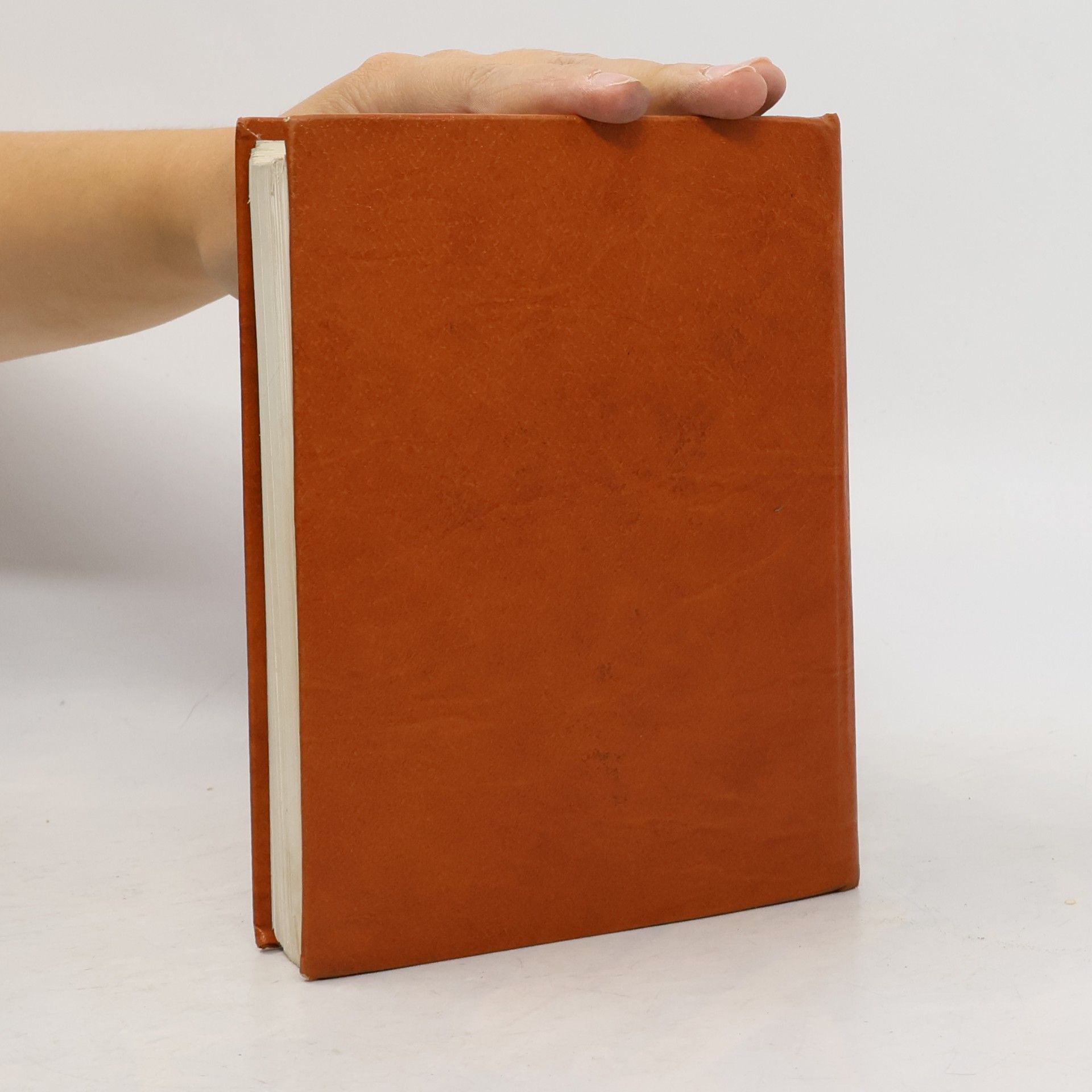 kolektiv Bible