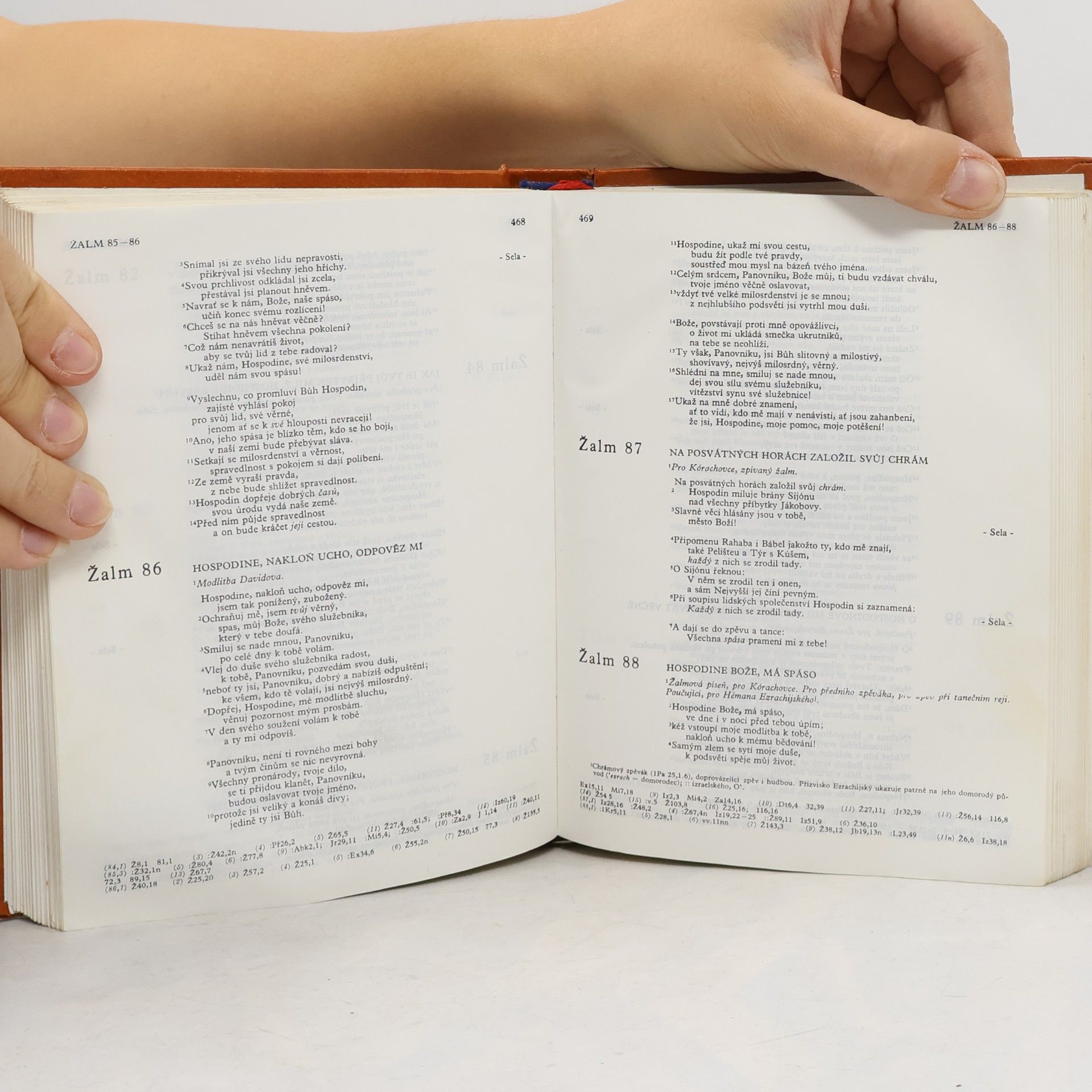 kolektiv Bible