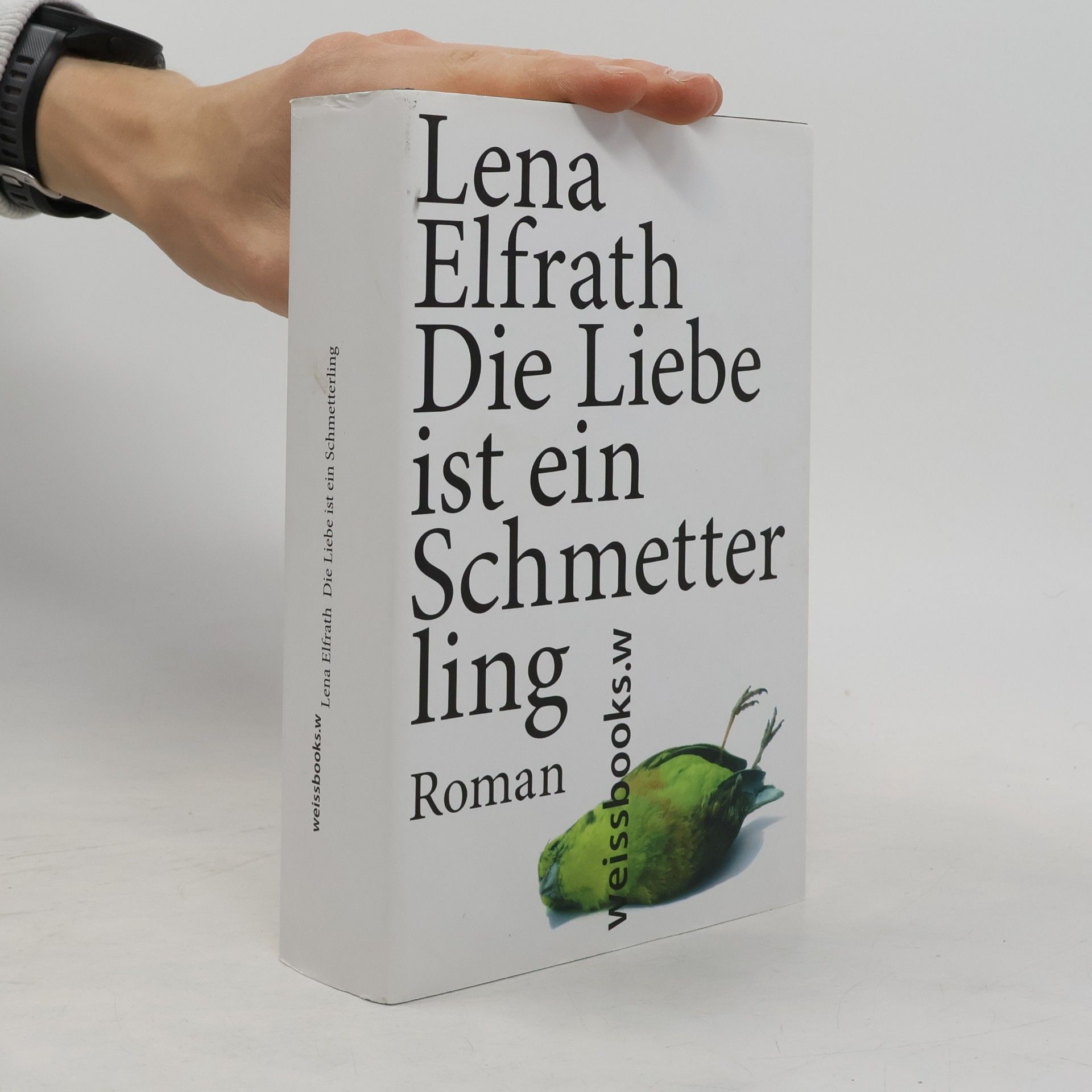 Lena Elfrath Die Liebe ist ein Schmetterling