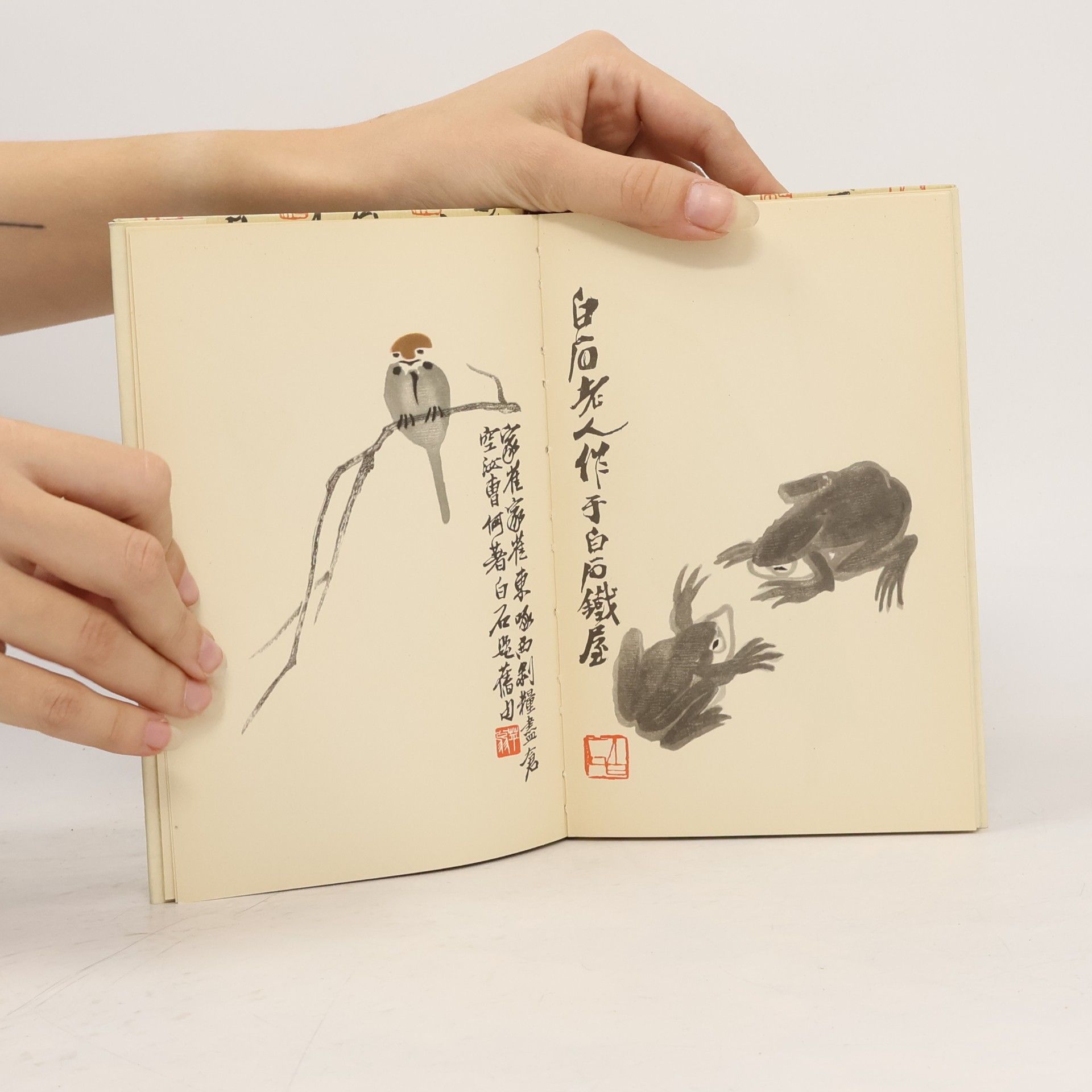 Pai shih Chʻi Farbige Pinselzeichnungen