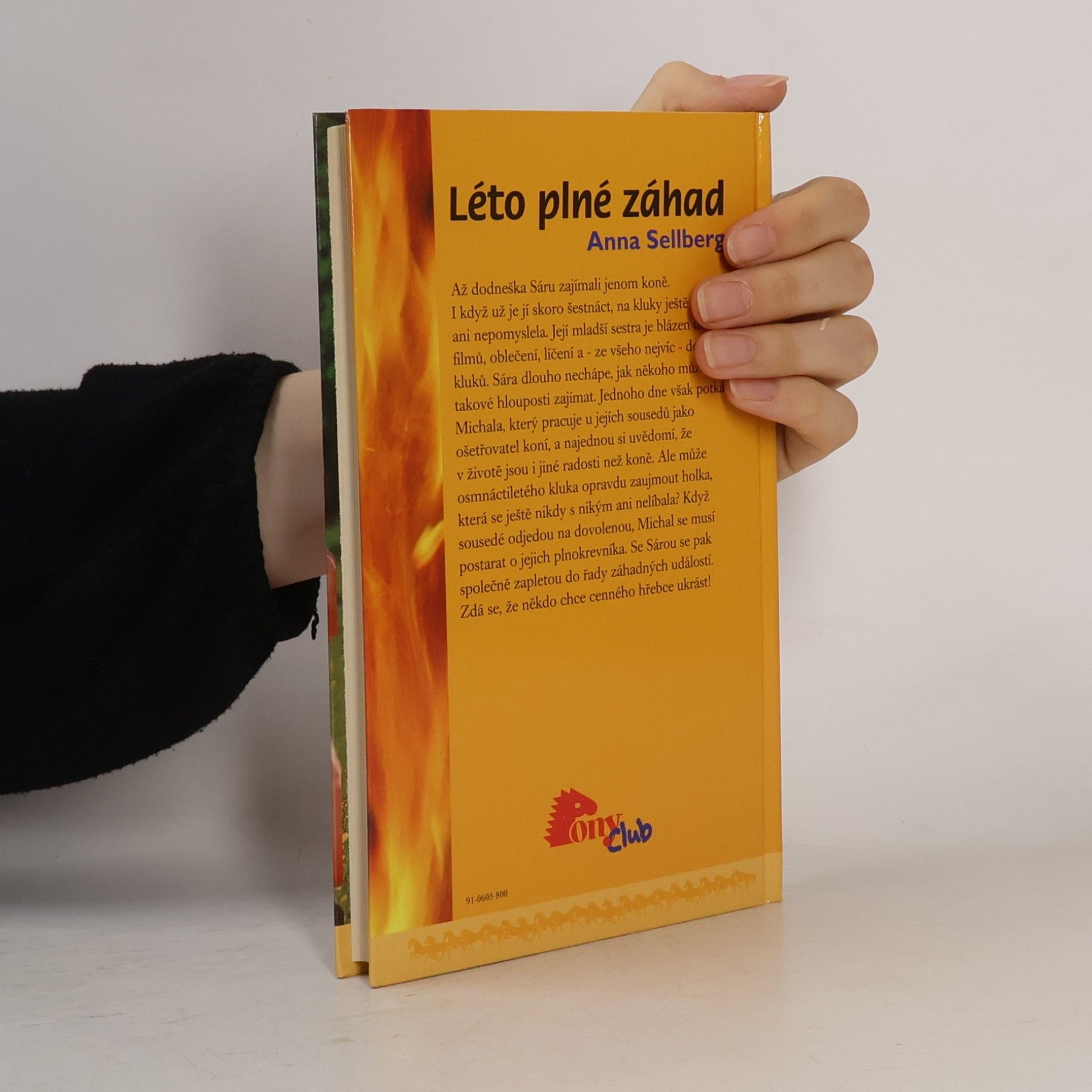 Anna Sellberg Léto plné záhad
