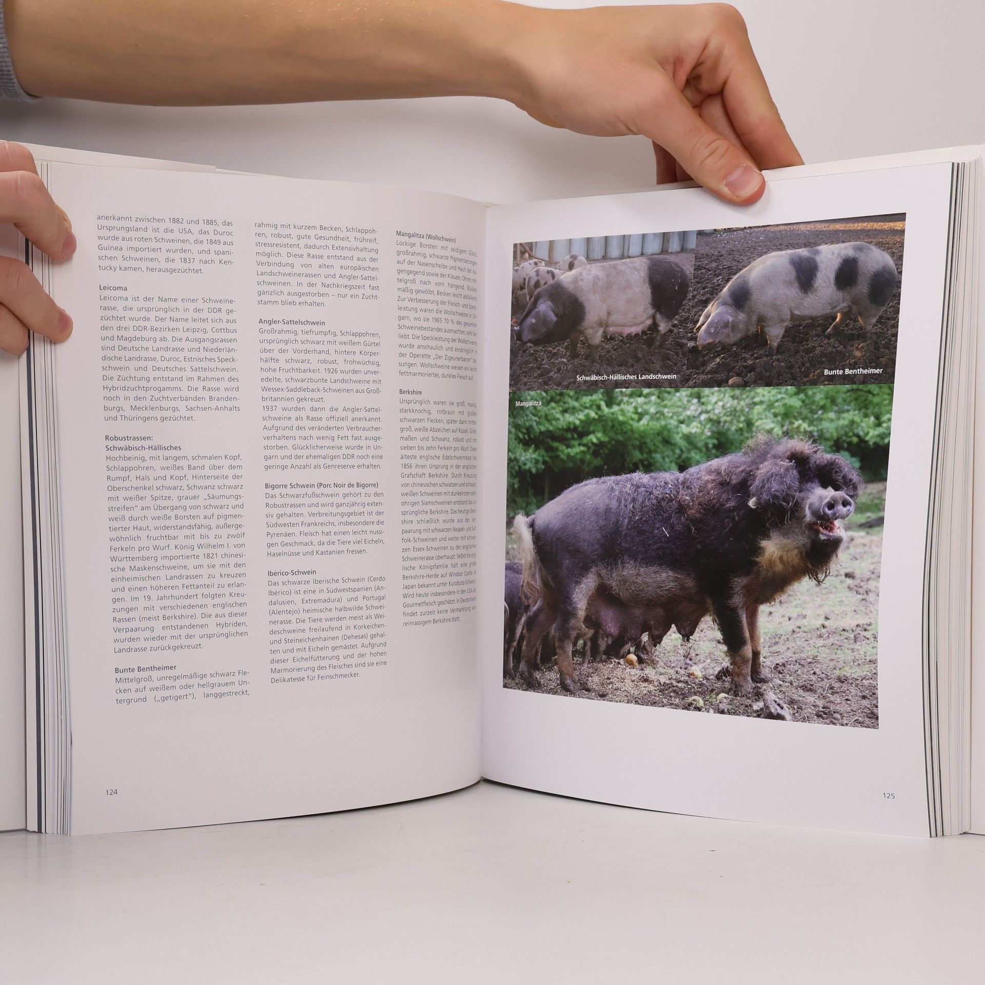 Thomas Ruhl Gutes Fleisch