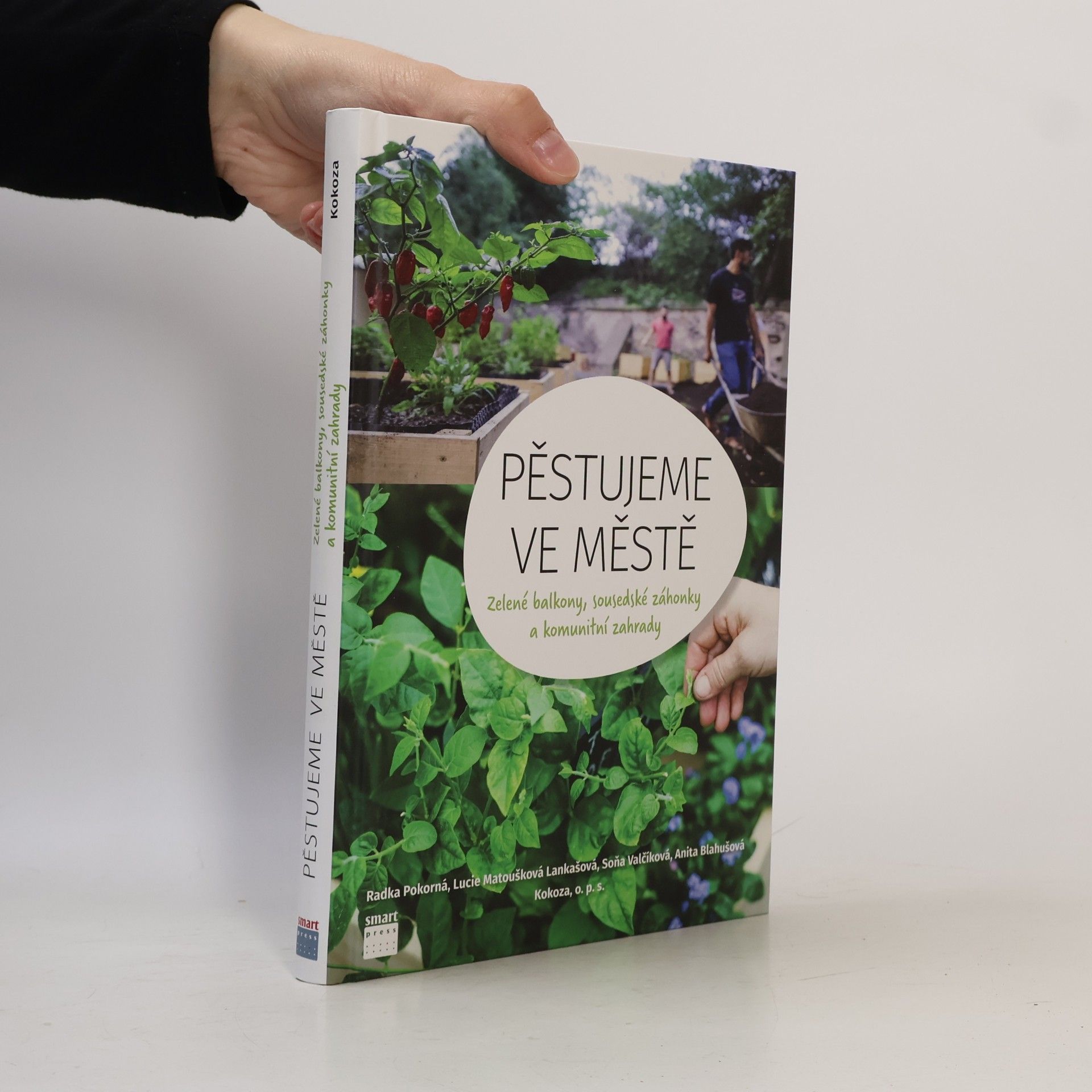 Soňa Valčíková Pěstujeme ve městě. Zelené balkony, sousedské záhonky a komunitní zahrady