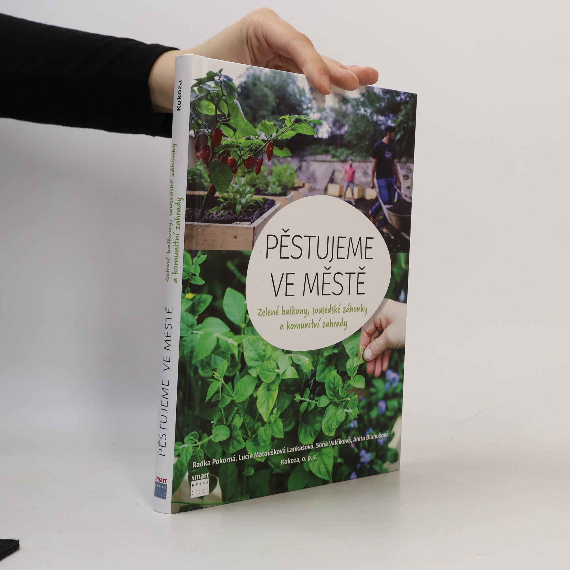 Soňa Valčíková Pěstujeme ve městě. Zelené balkony, sousedské záhonky a komunitní zahrady