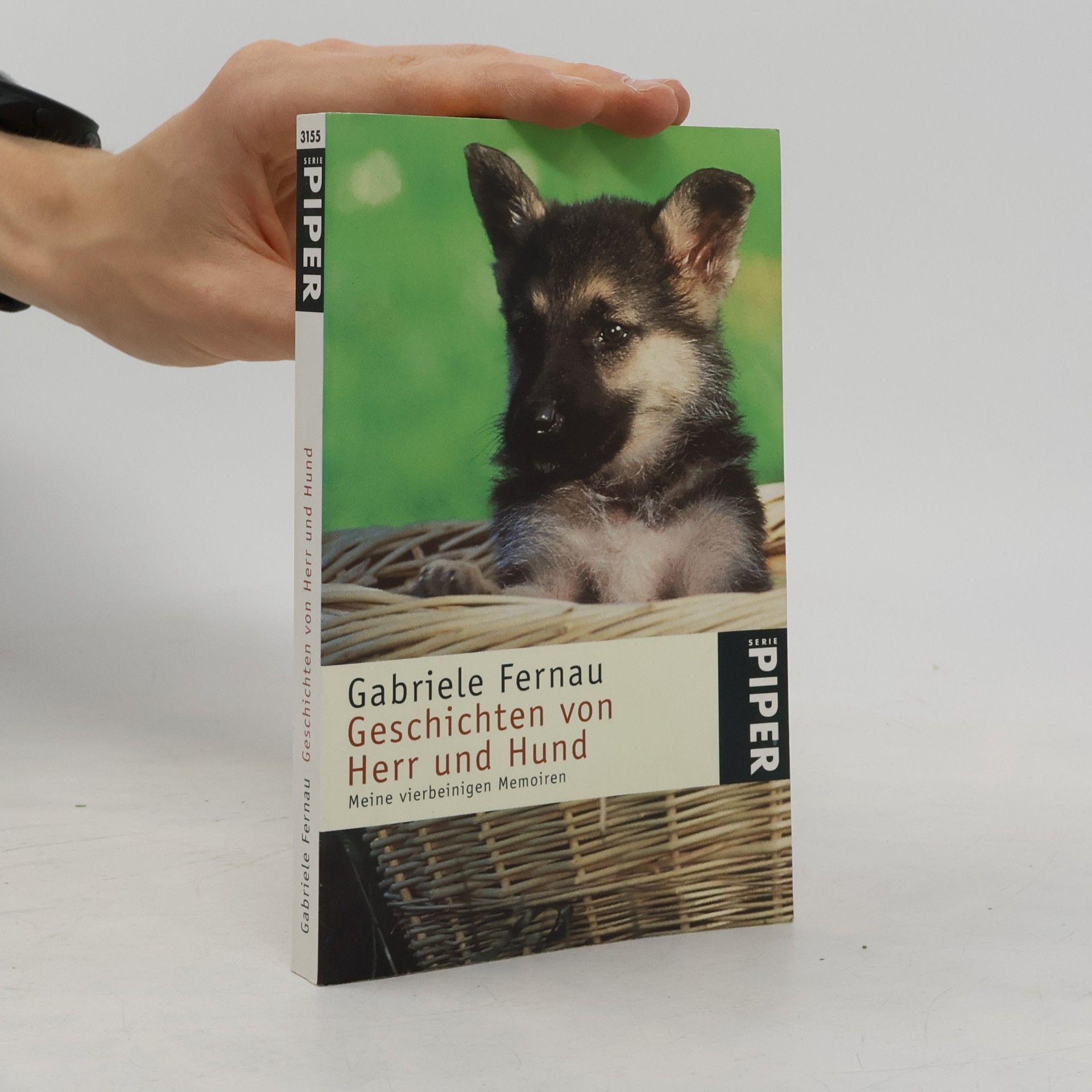 Gabriele Fernau Geschichten von Herr und Hund