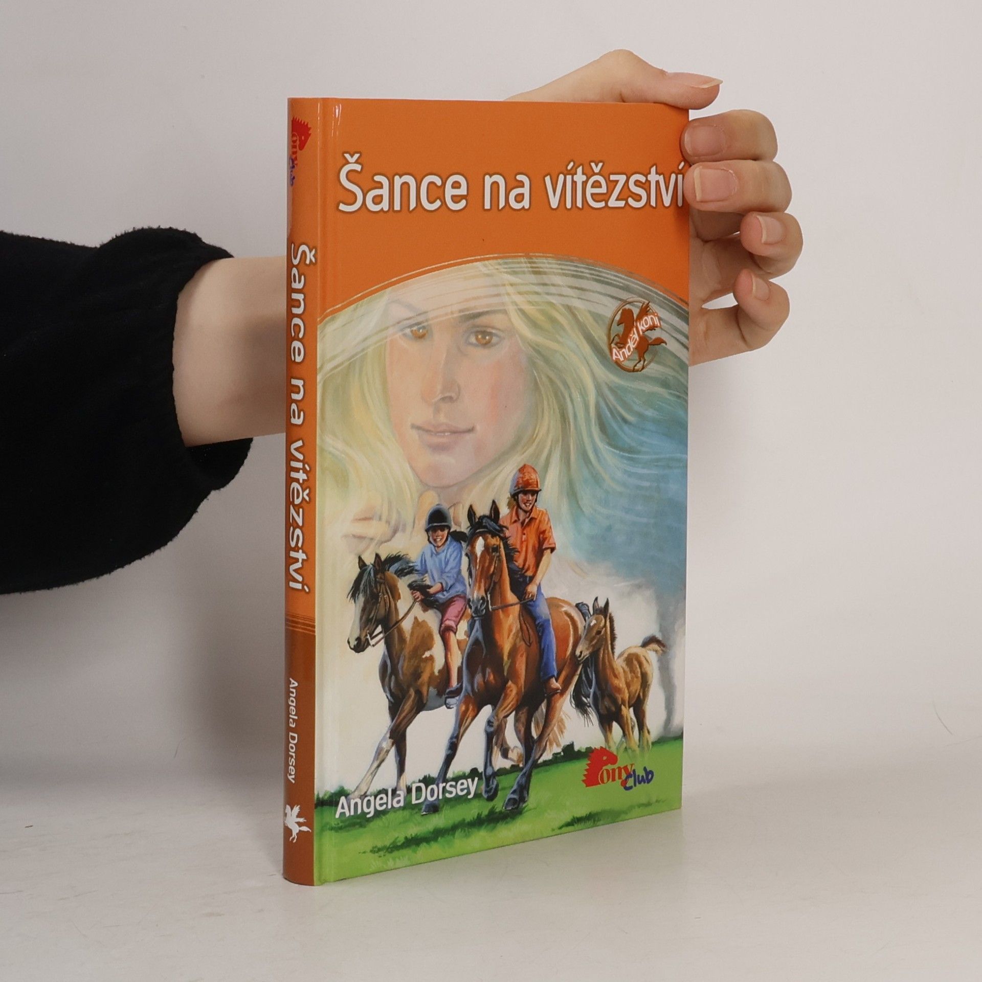 Angela Dorsey Šance na vítězství