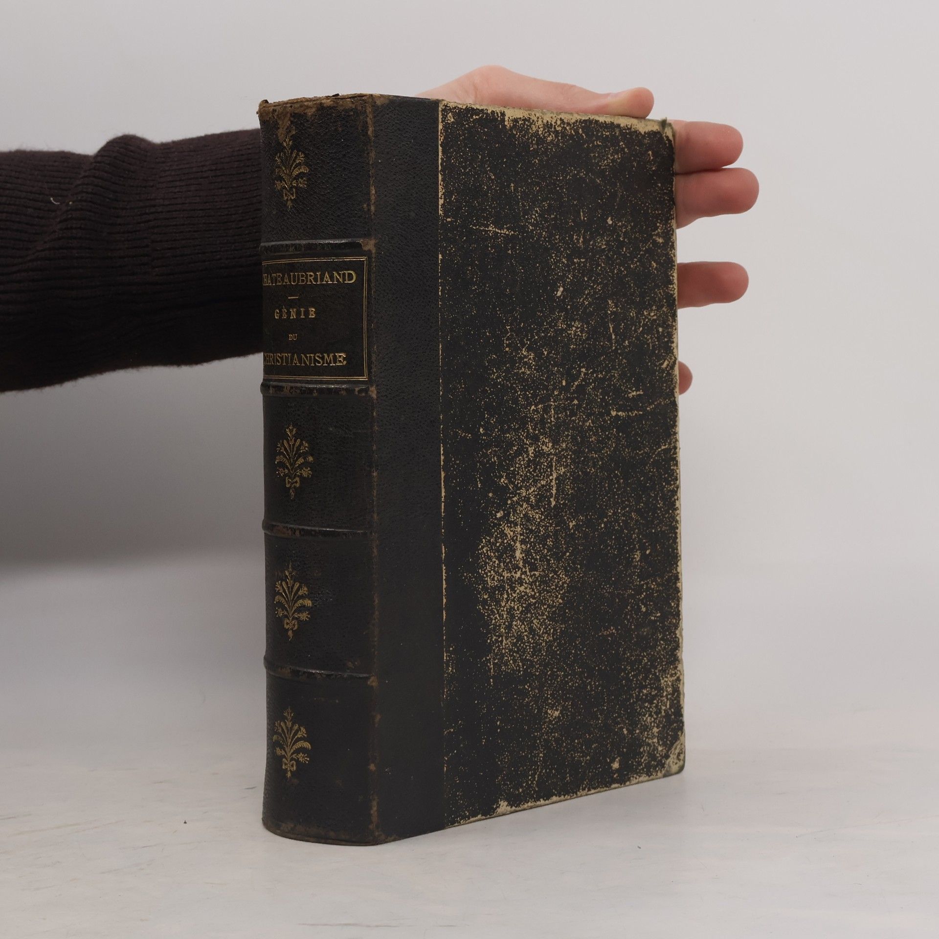 Chateaubriand Génie du christianisme
