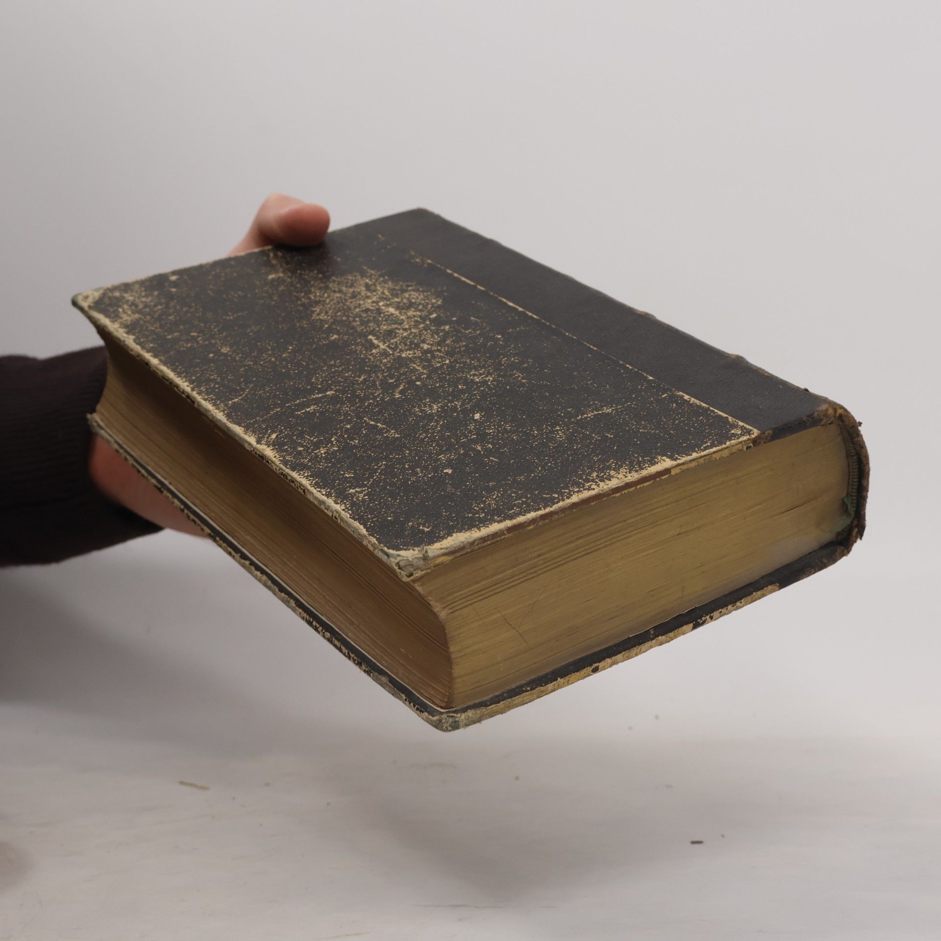 Chateaubriand Génie du christianisme