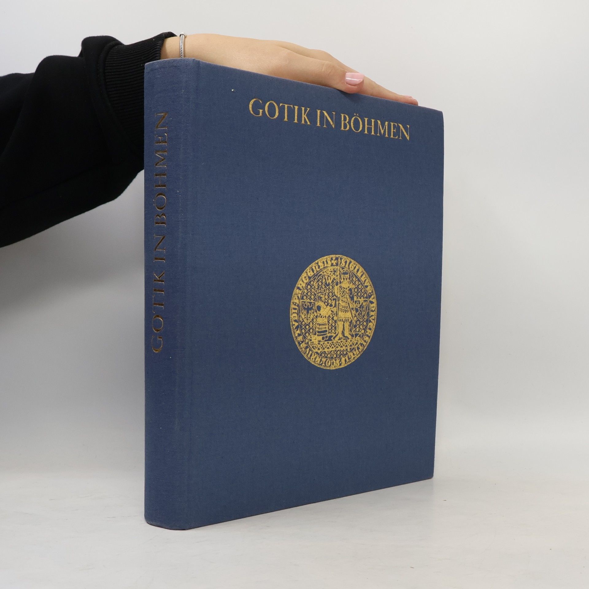 Auteurscollectief Gotik in Böhmen. Geschichte, Gesellschaftsgeschichte, Architektur, Plastik und Malerei