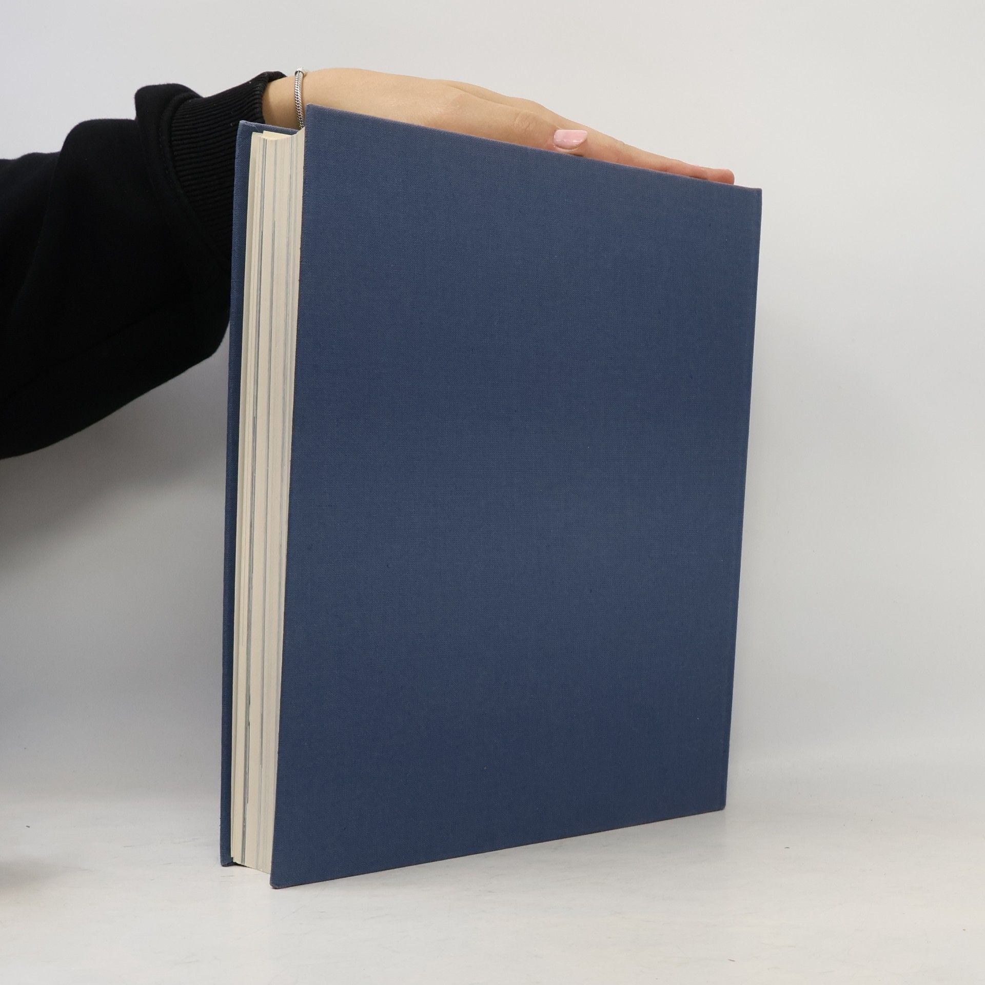 Autorenkollektiv Gotik in Böhmen. Geschichte, Gesellschaftsgeschichte, Architektur, Plastik und Malerei