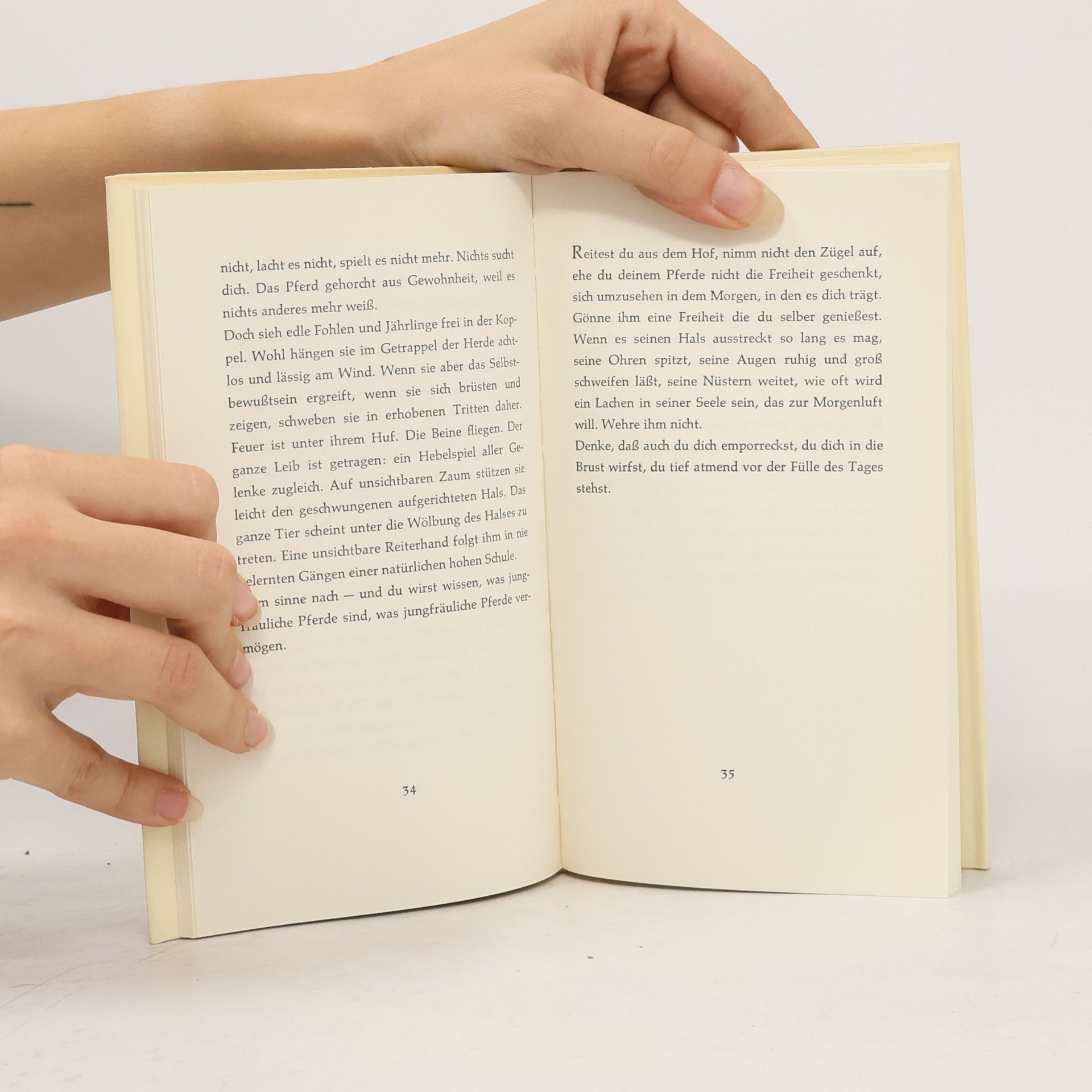 Rudolf G. Binding Reitvorschrift für eine Geliebte