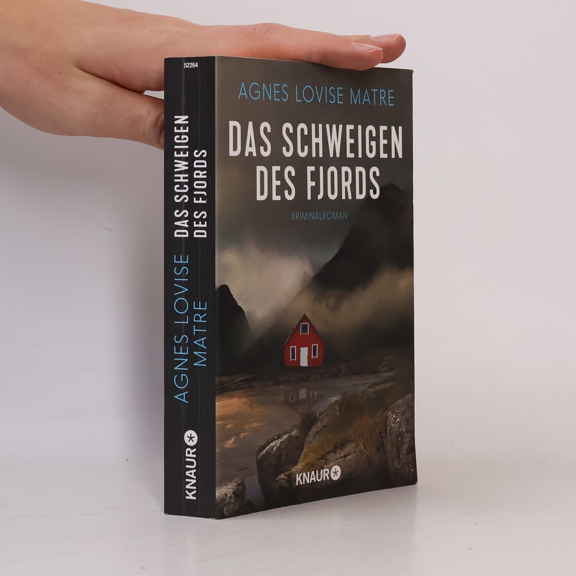 Agnes Lovise Matre Das Schweigen des Fjords