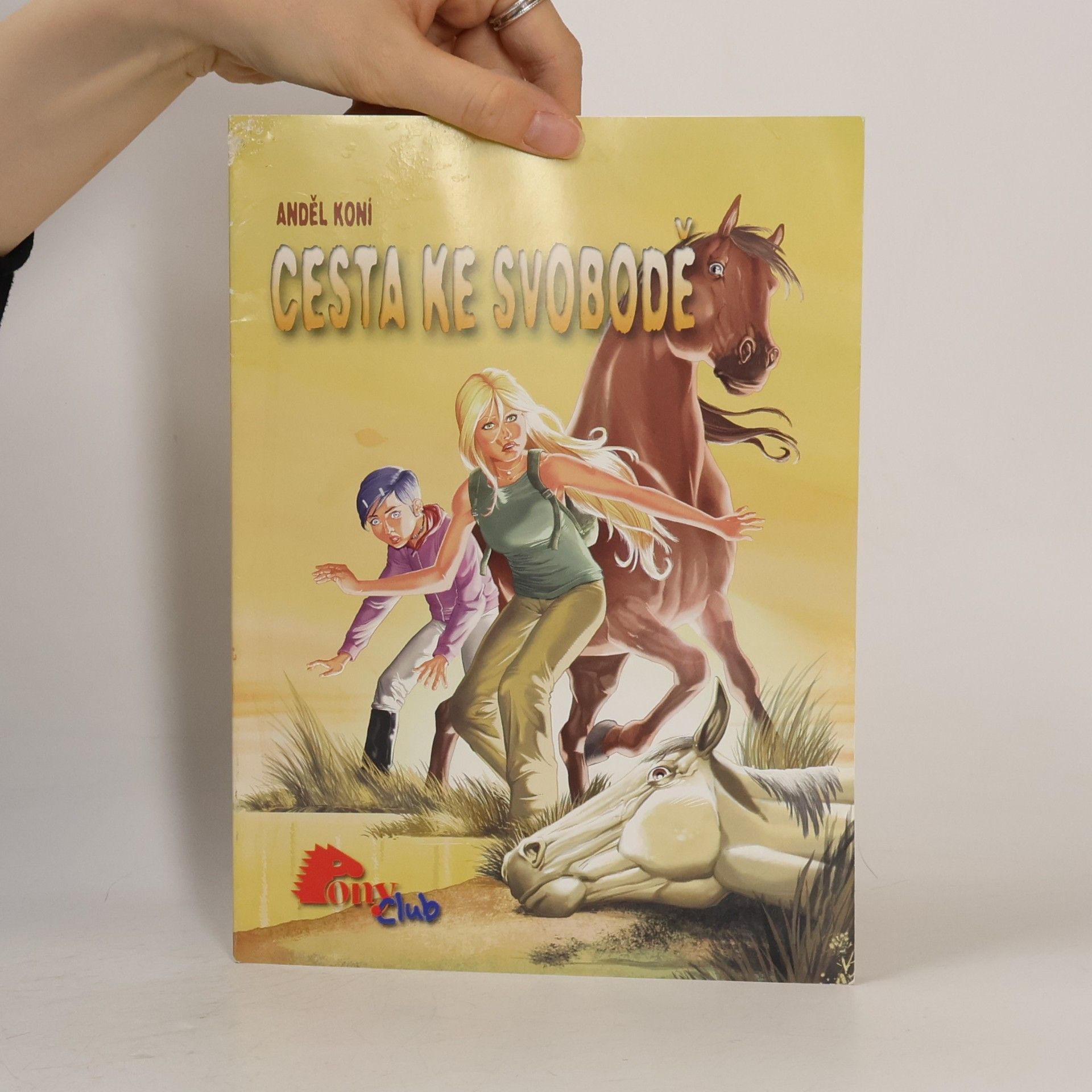 Various authors Anděl koní. Cesta ke svobodě