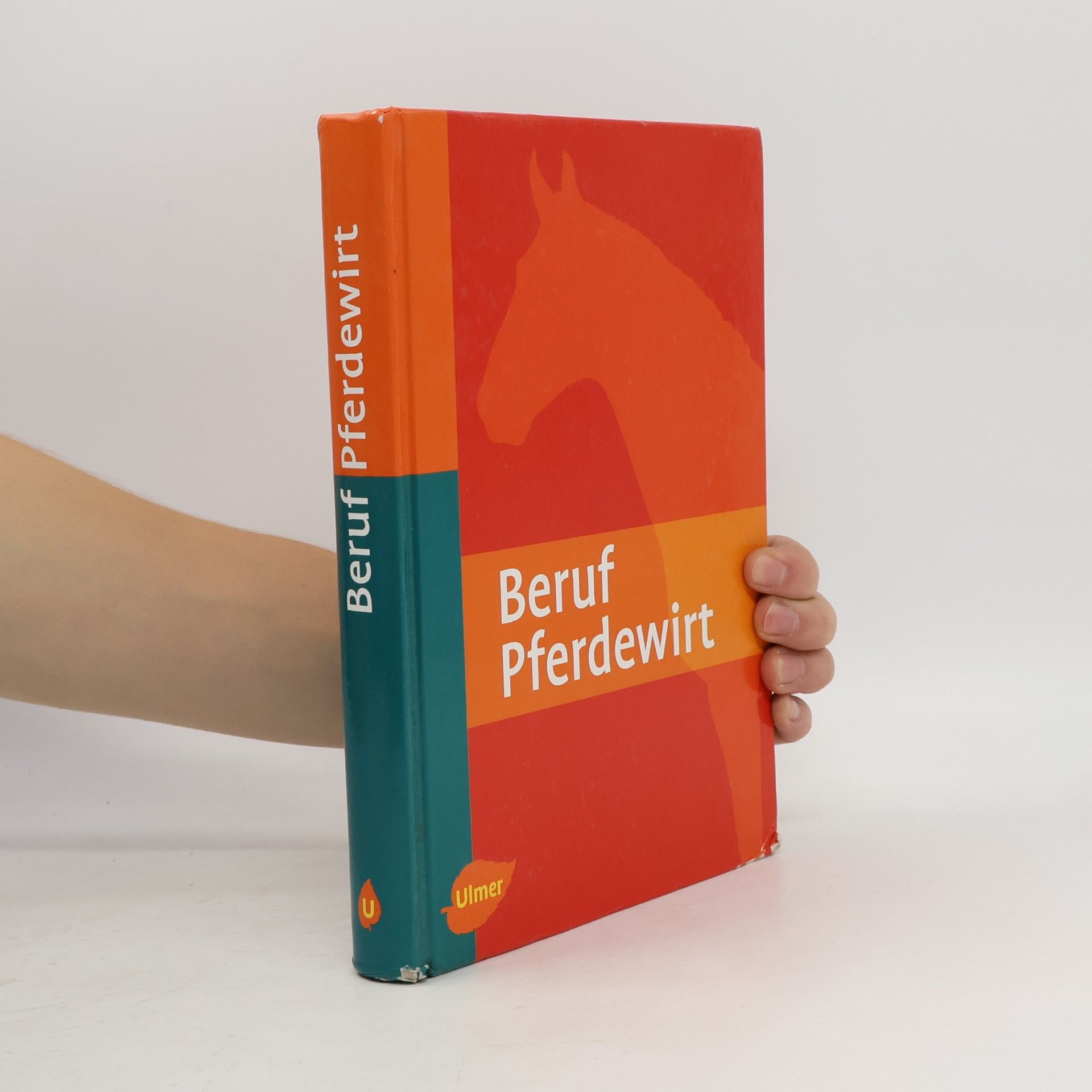 Georg Möhlenbruch Beruf Pferdewirt