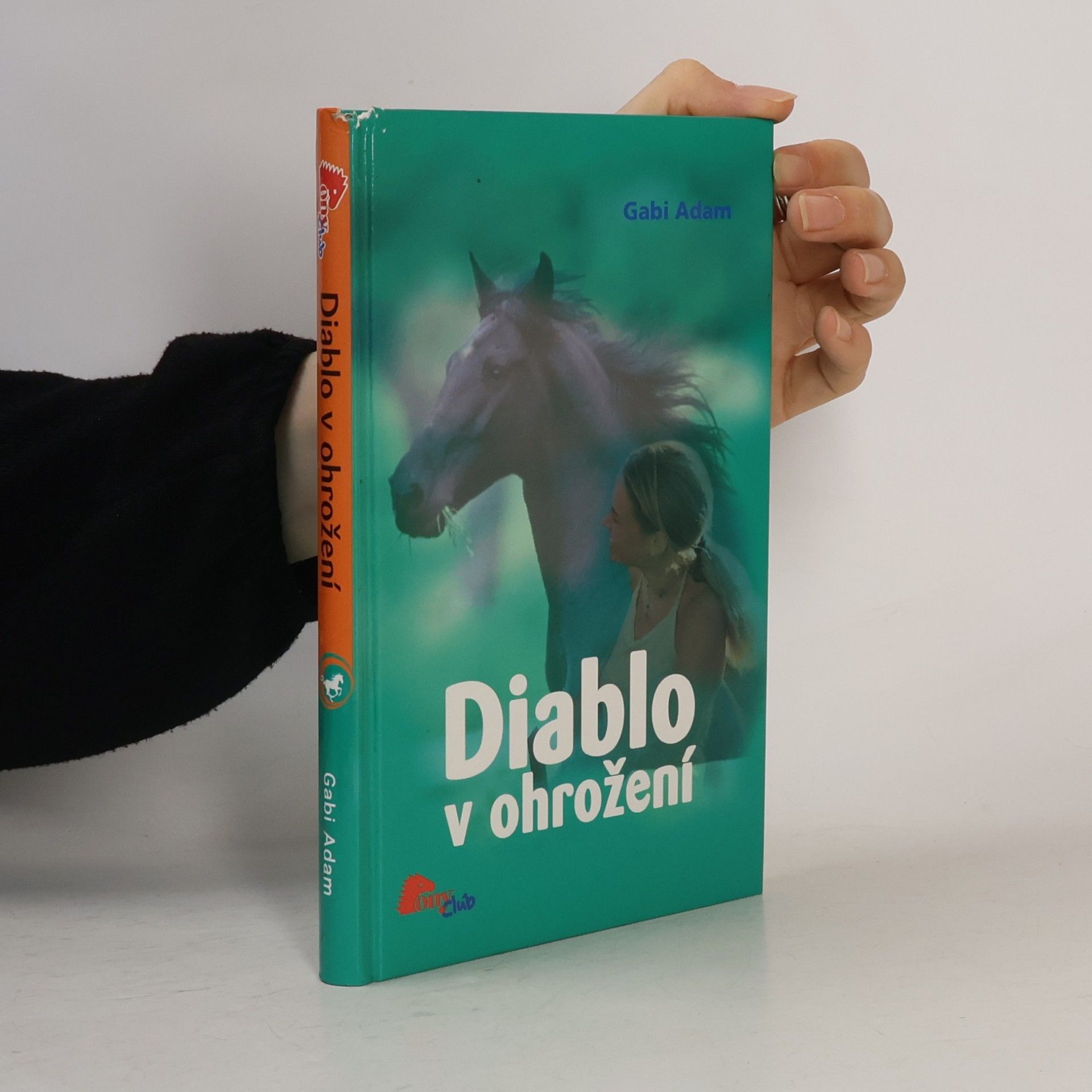 Gabi Adam Diablo v ohrožení. Diablo 2