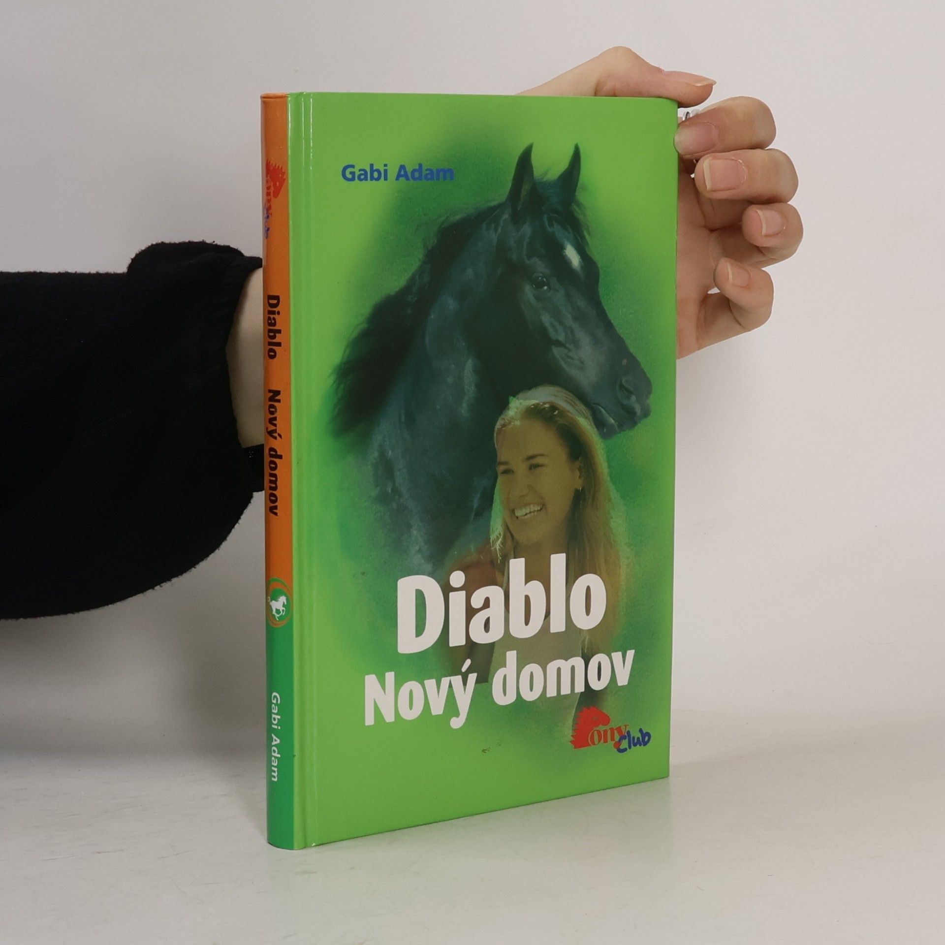Gabi Adam Nový domov. Diablo 3