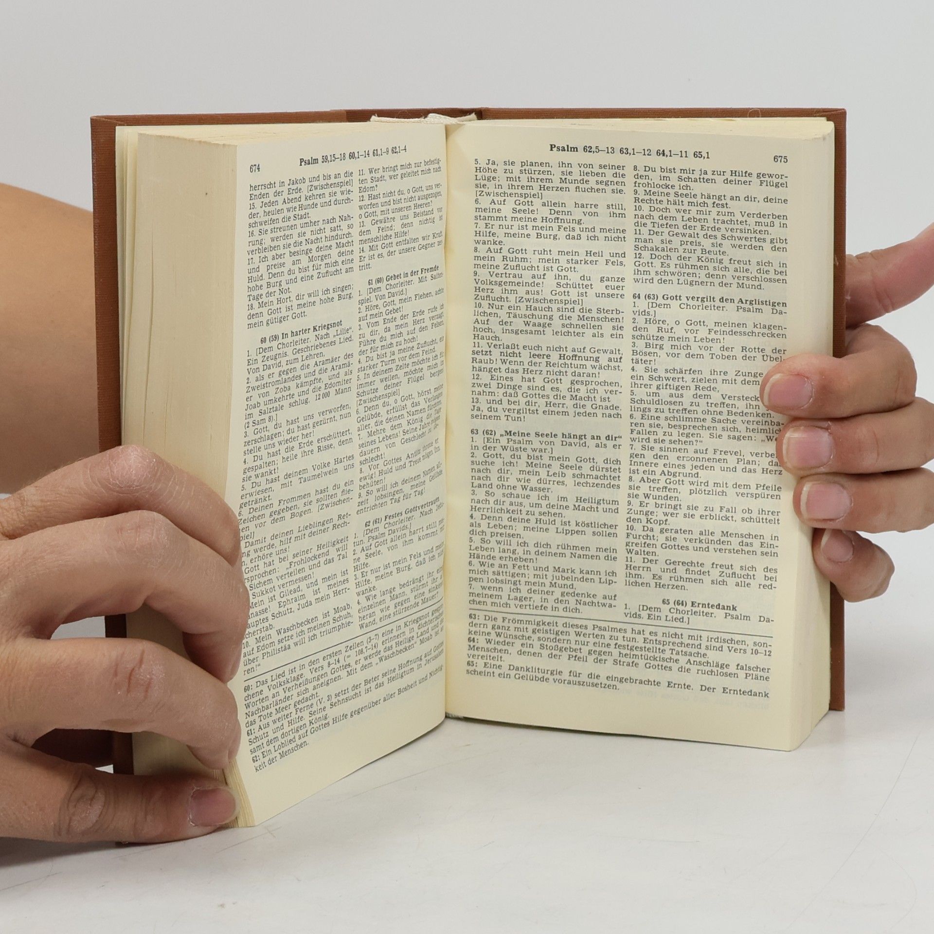 Hermann Menge Die Heilige Schrift