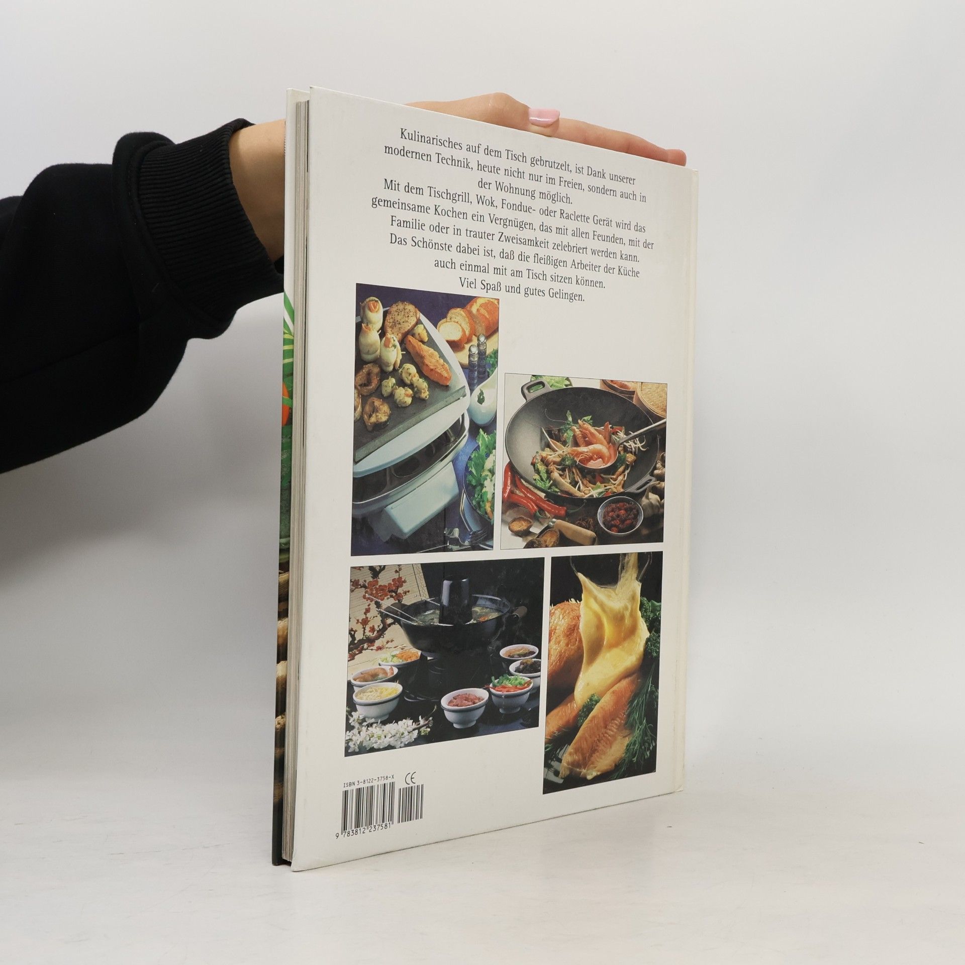 Autorenkollektiv Tischgrill, Wok, Fondue, Raclette