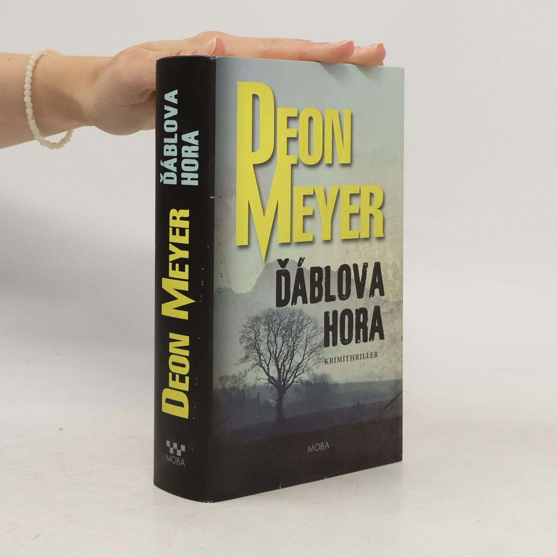 Deon Meyer Ďáblova hora