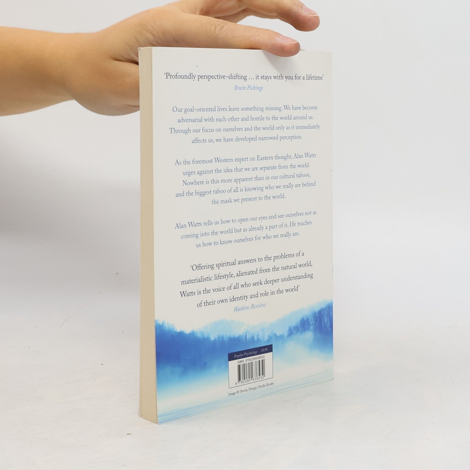 Alan Watts The Book