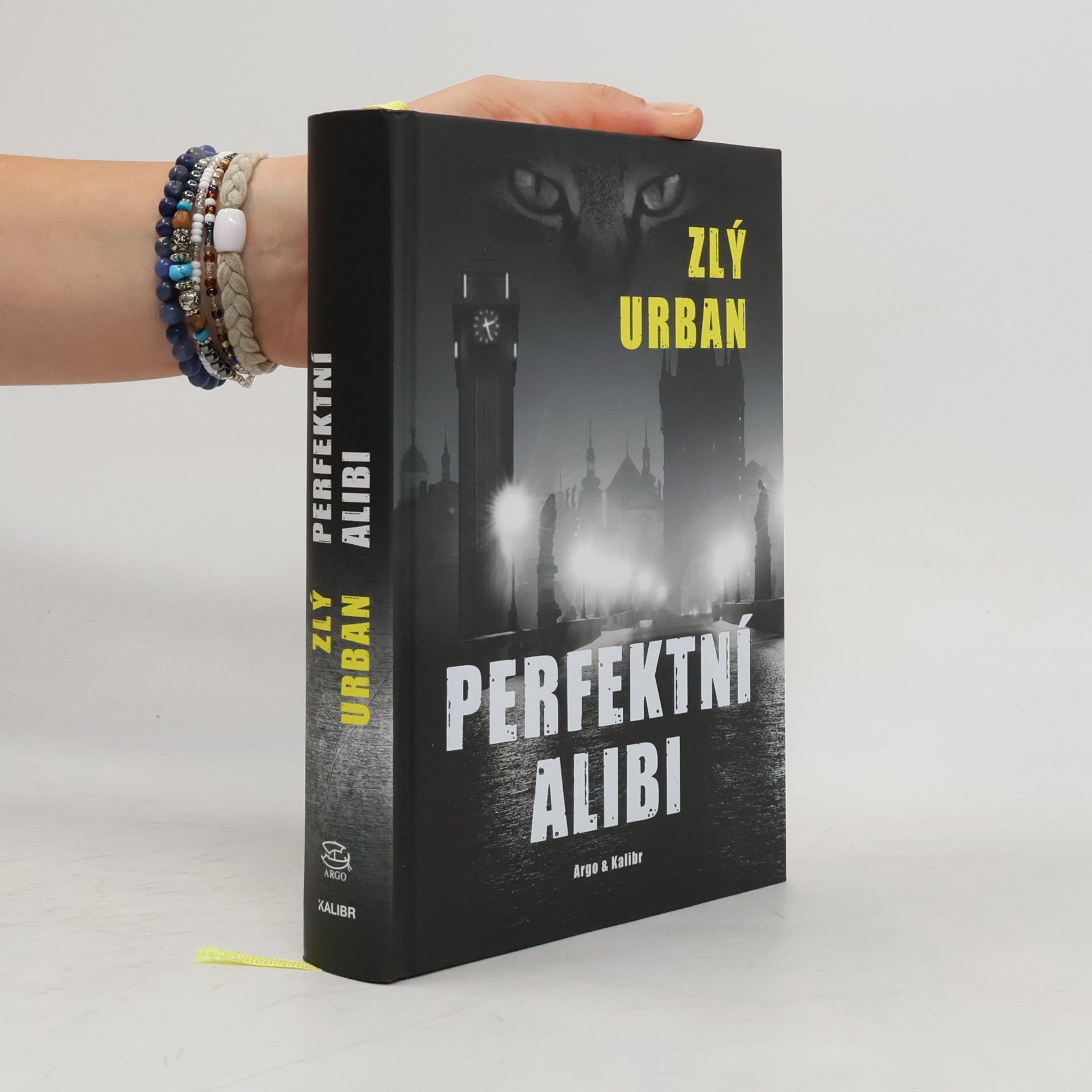 Vladimír Zlý Perfektní alibi