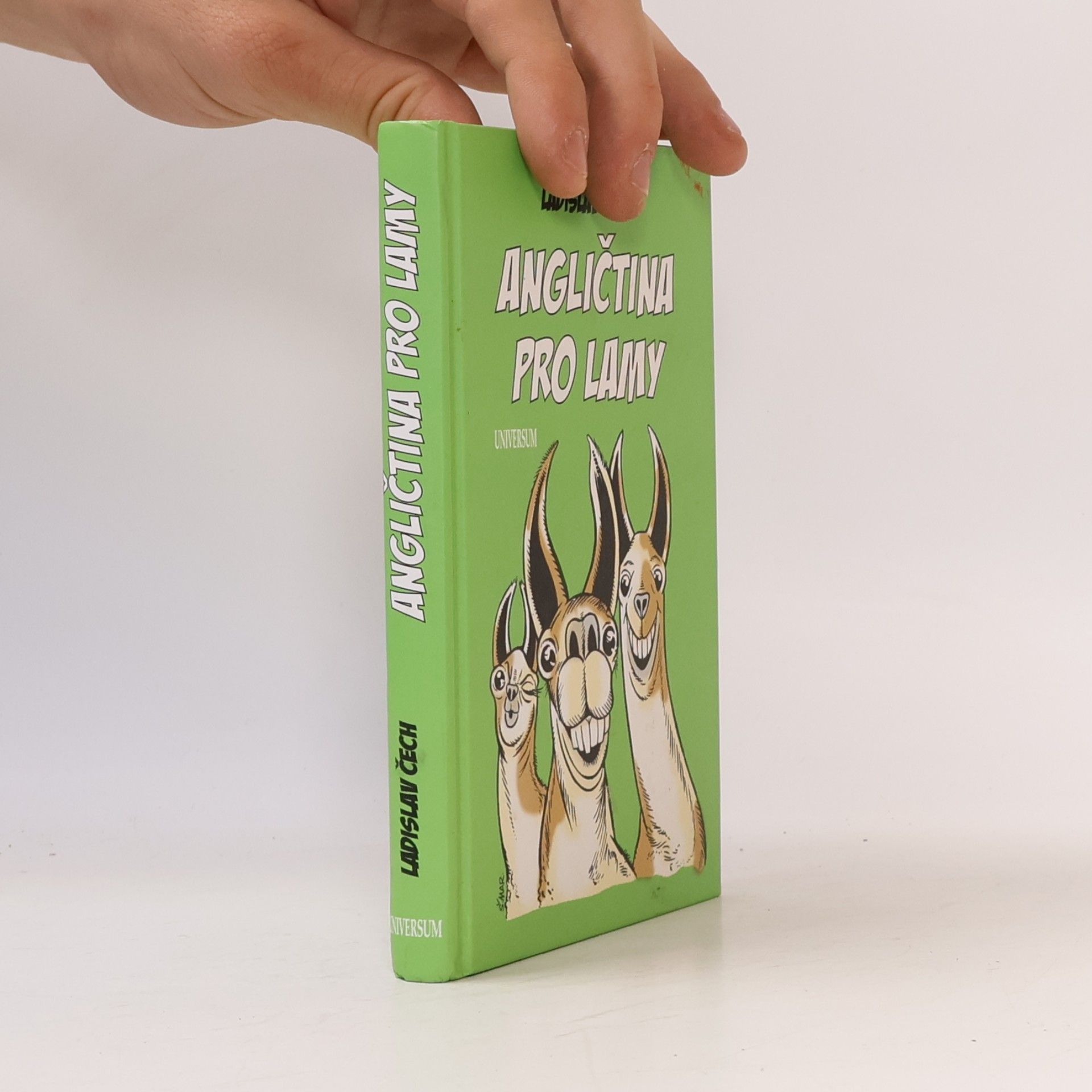 Ladislav Čech Angličtina pro lamy