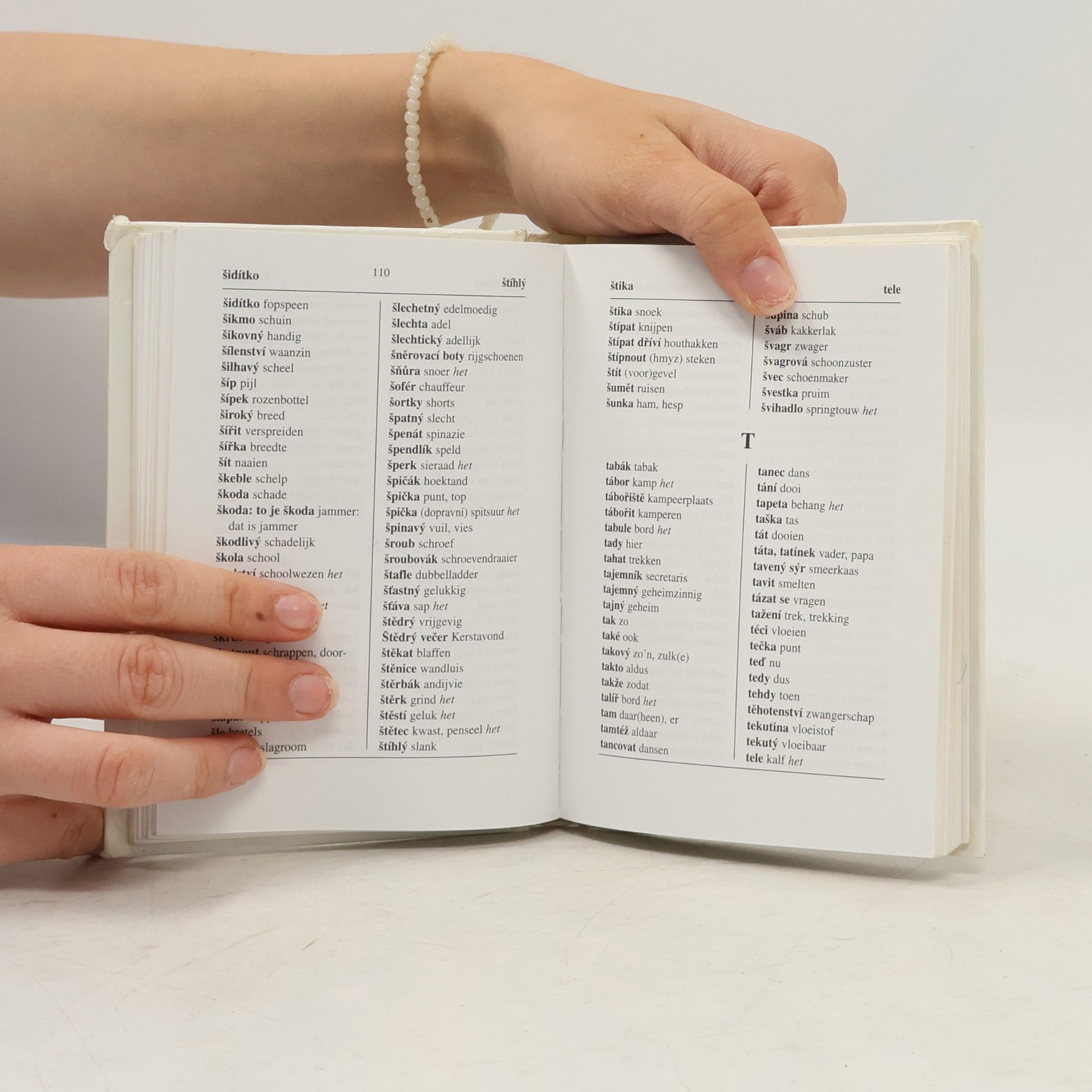 Přemysl Janota Kapesní nizozemský slovník = Tsjechisch zakwoordenboek