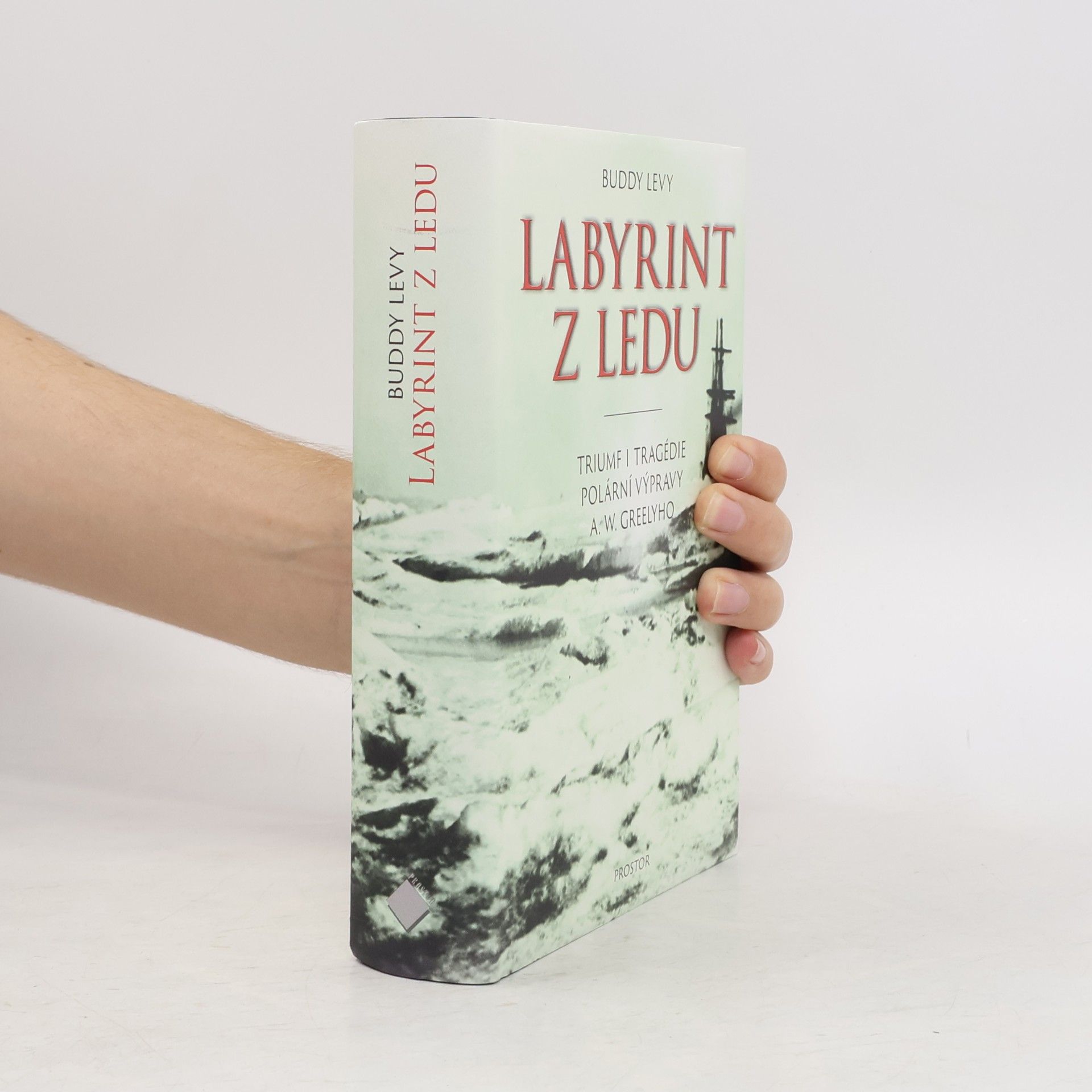 Buddy Levy Labyrint z ledu