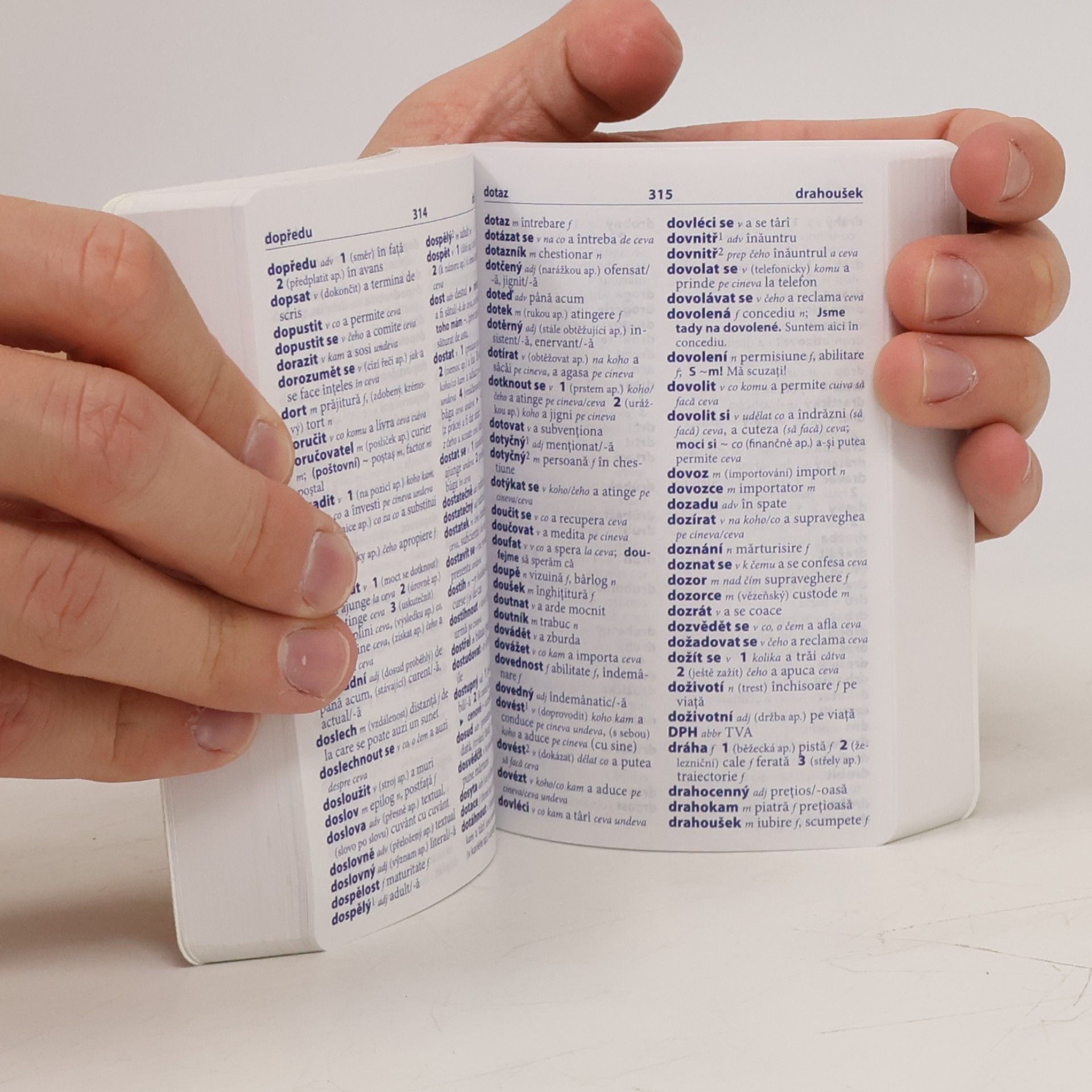 Autores varios Rumunština slovníček
