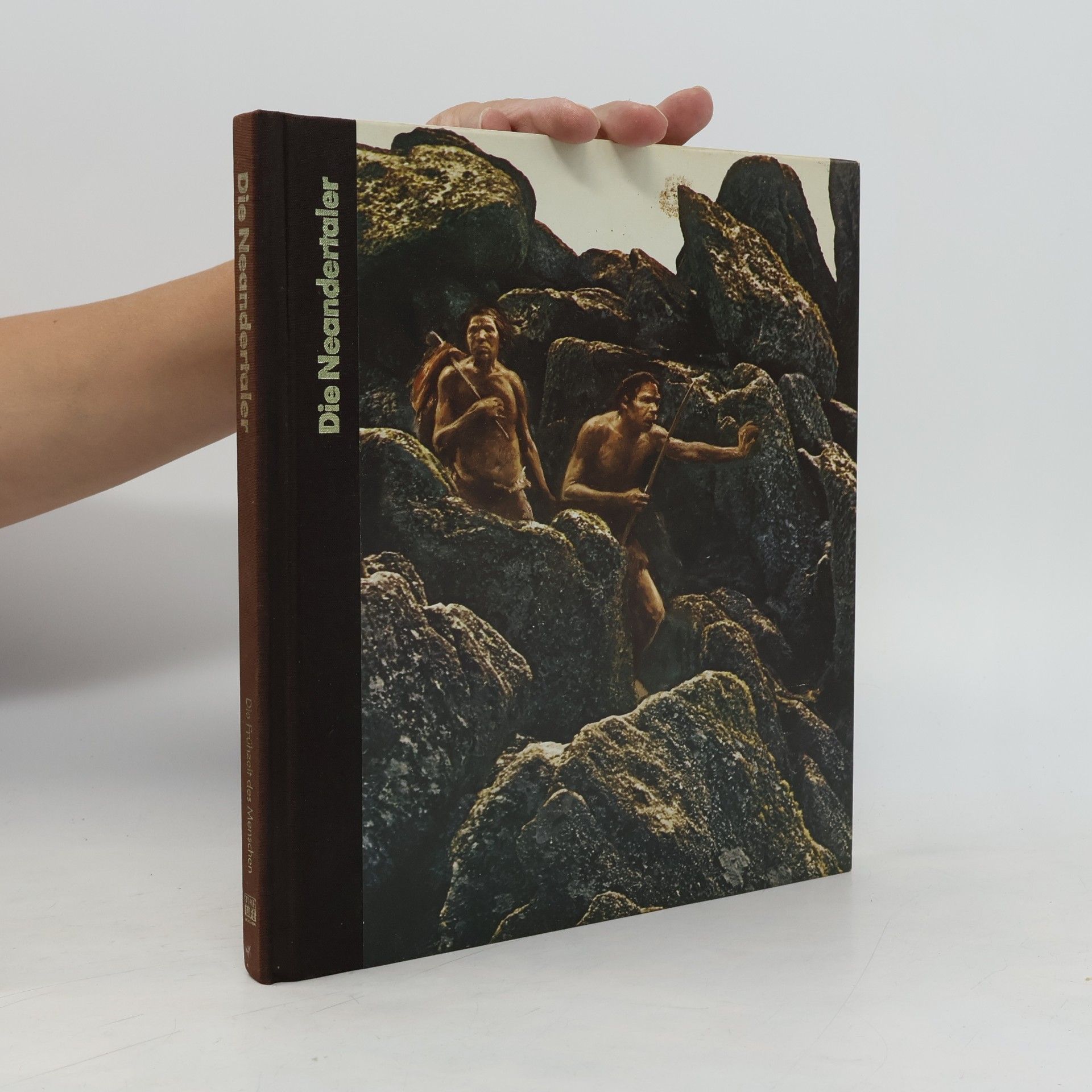 kolektiv Die Neandertaler. Die Frühzeit des Menschen