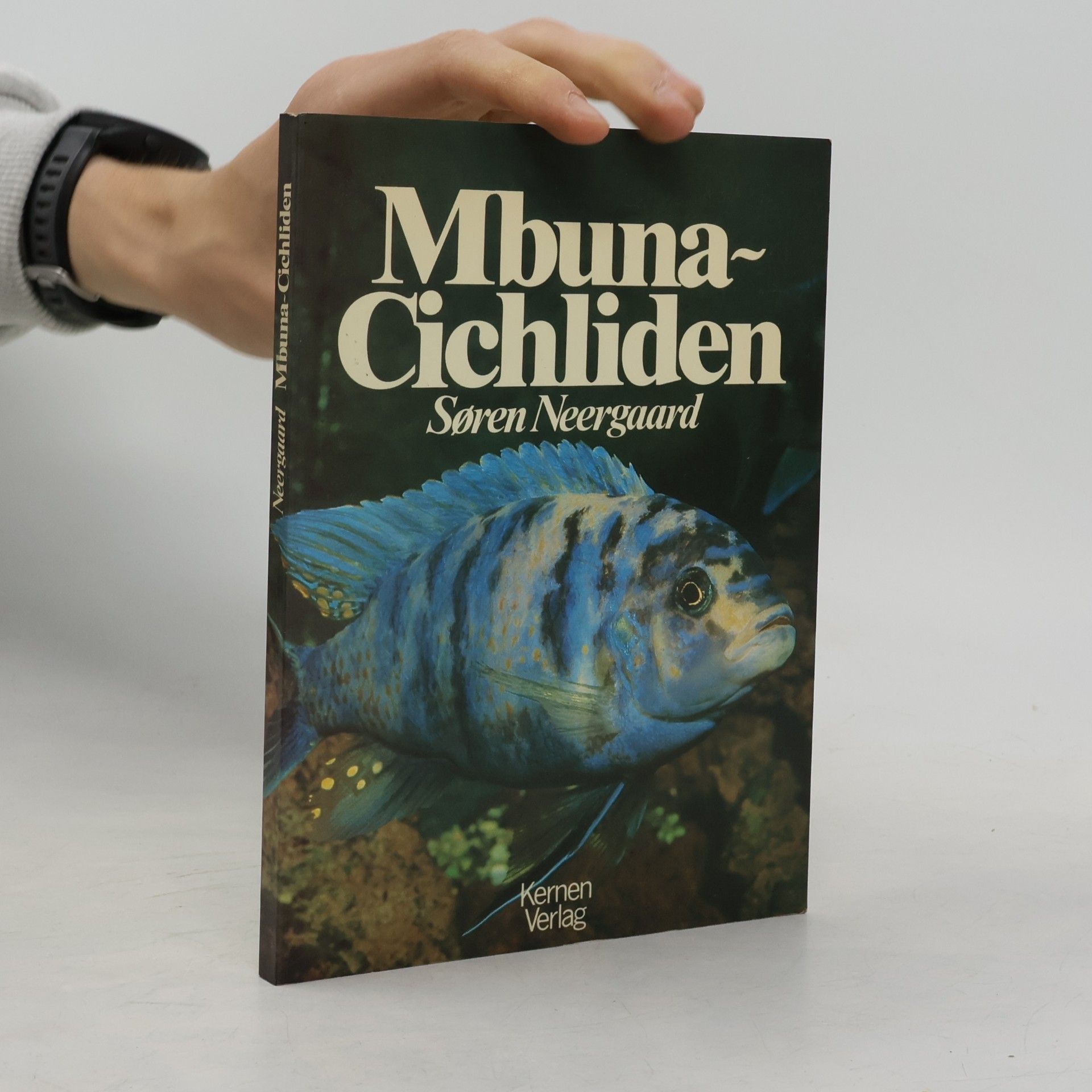 Mbuna-Cichliden