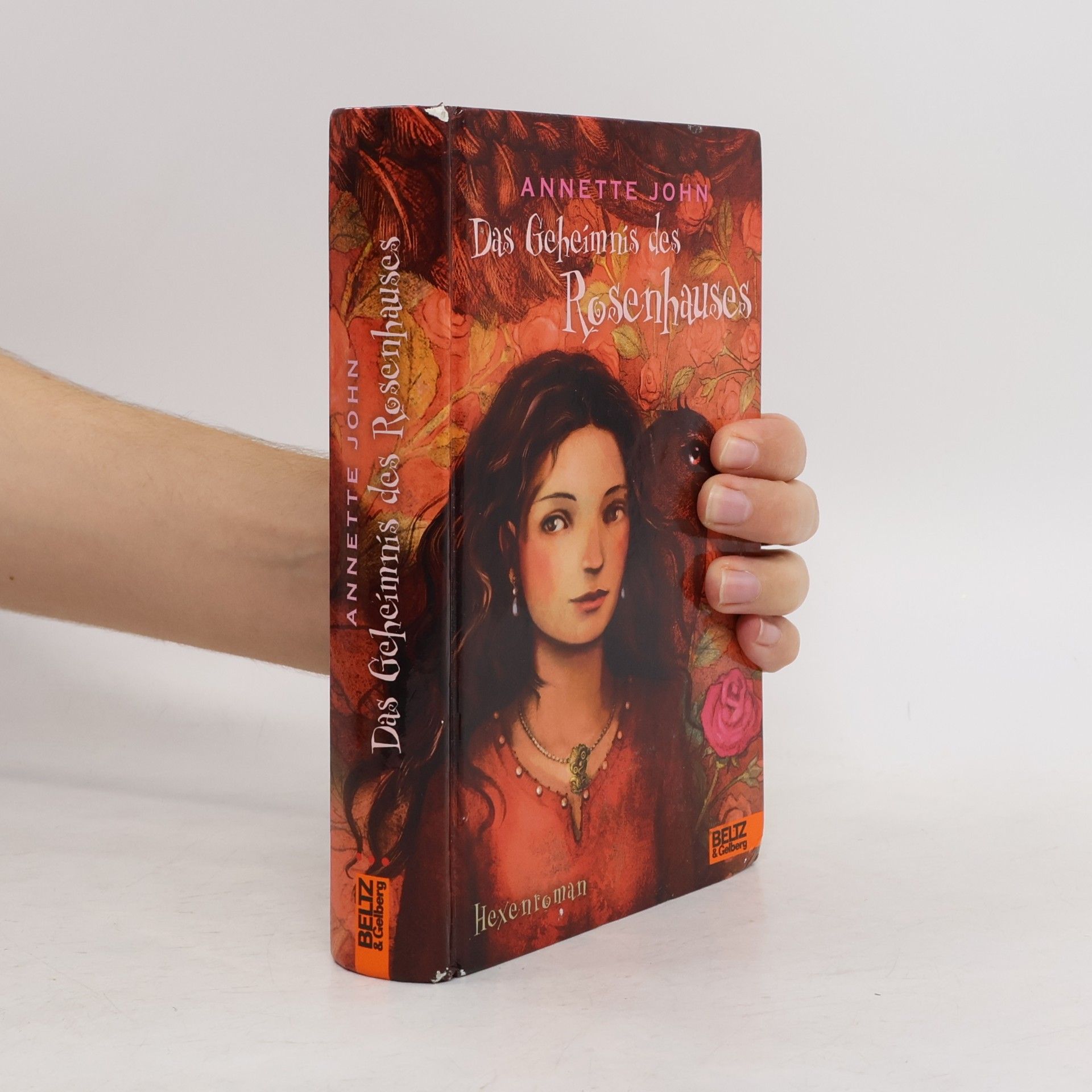 Annette John Das Geheimnis des Rosenhauses
