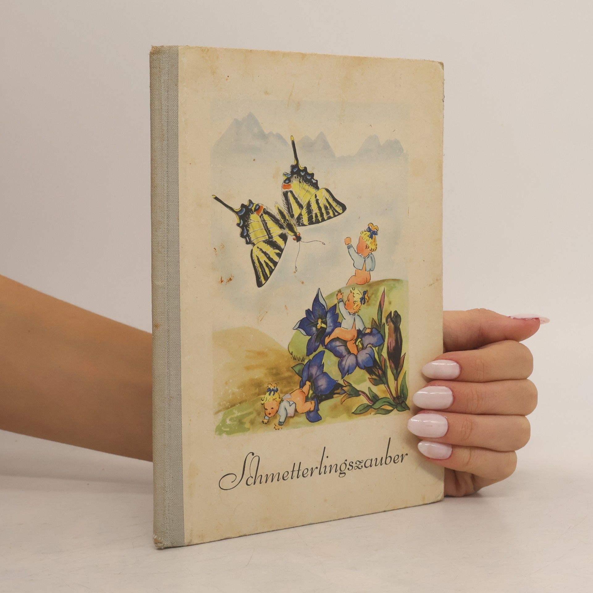 kolektiv Schmetterlingszauber