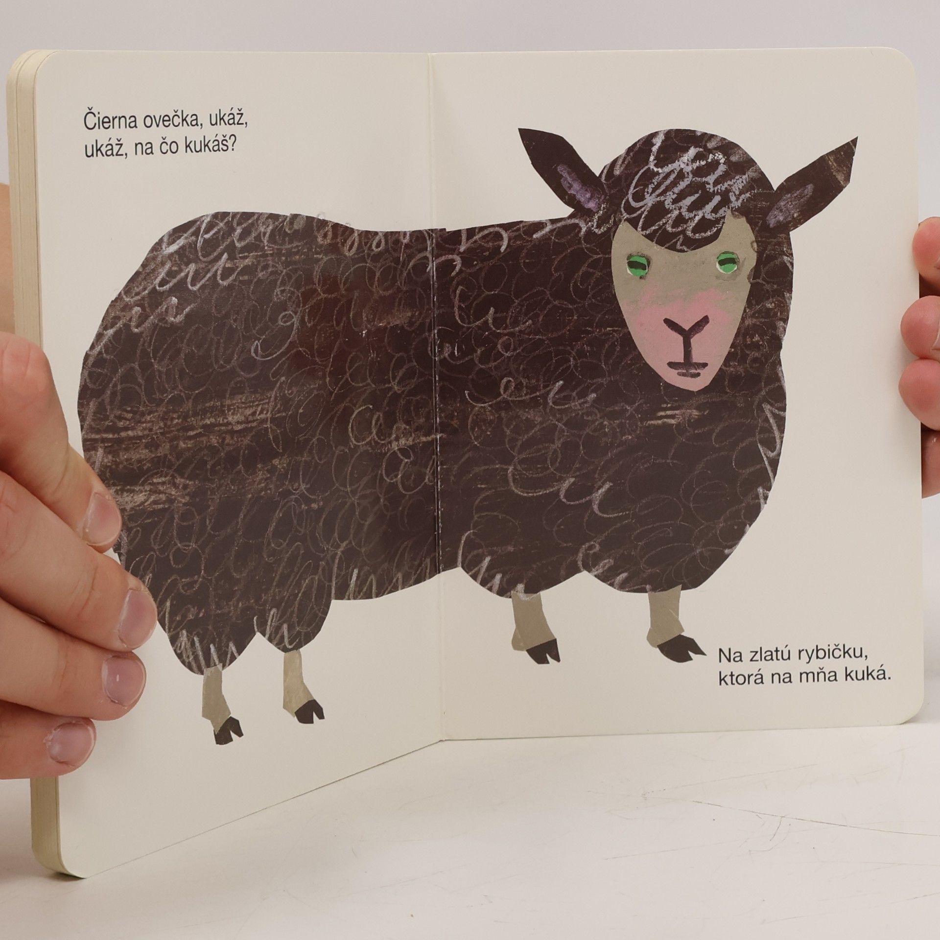 Eric Carle Medveď, ukáž na čo kukáš?