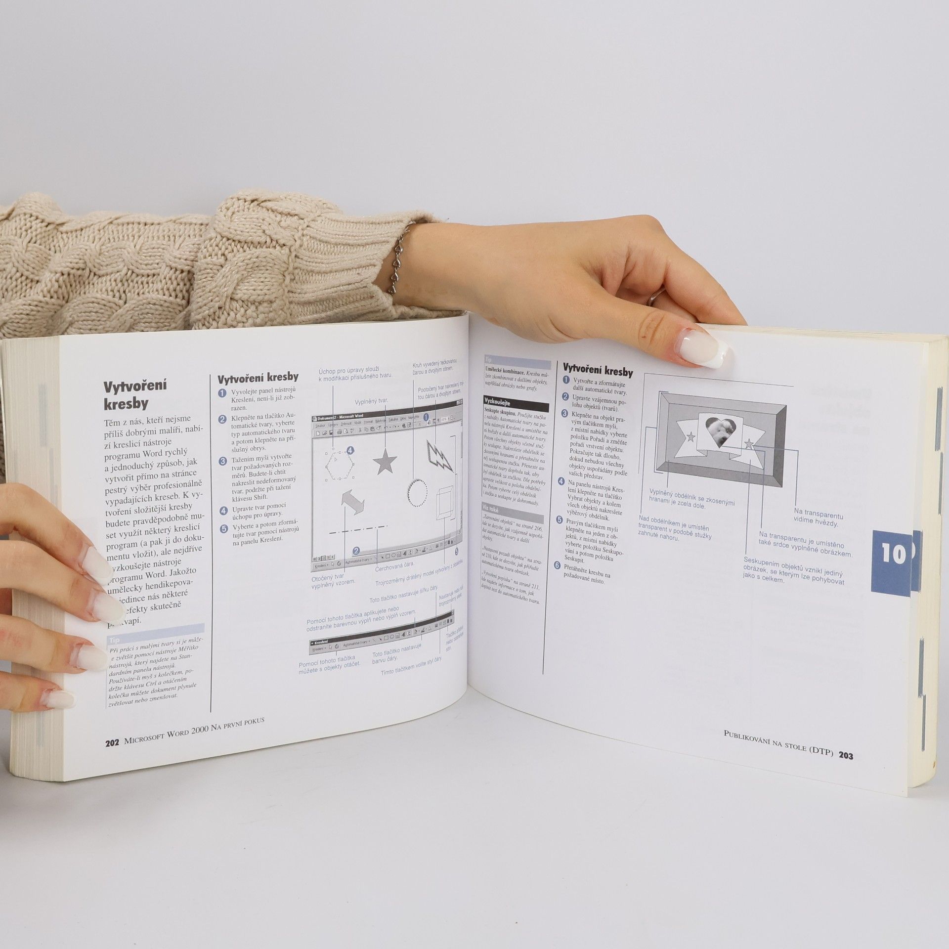 Jerry Joyce Microsoft Word 2000 - Na první pokus