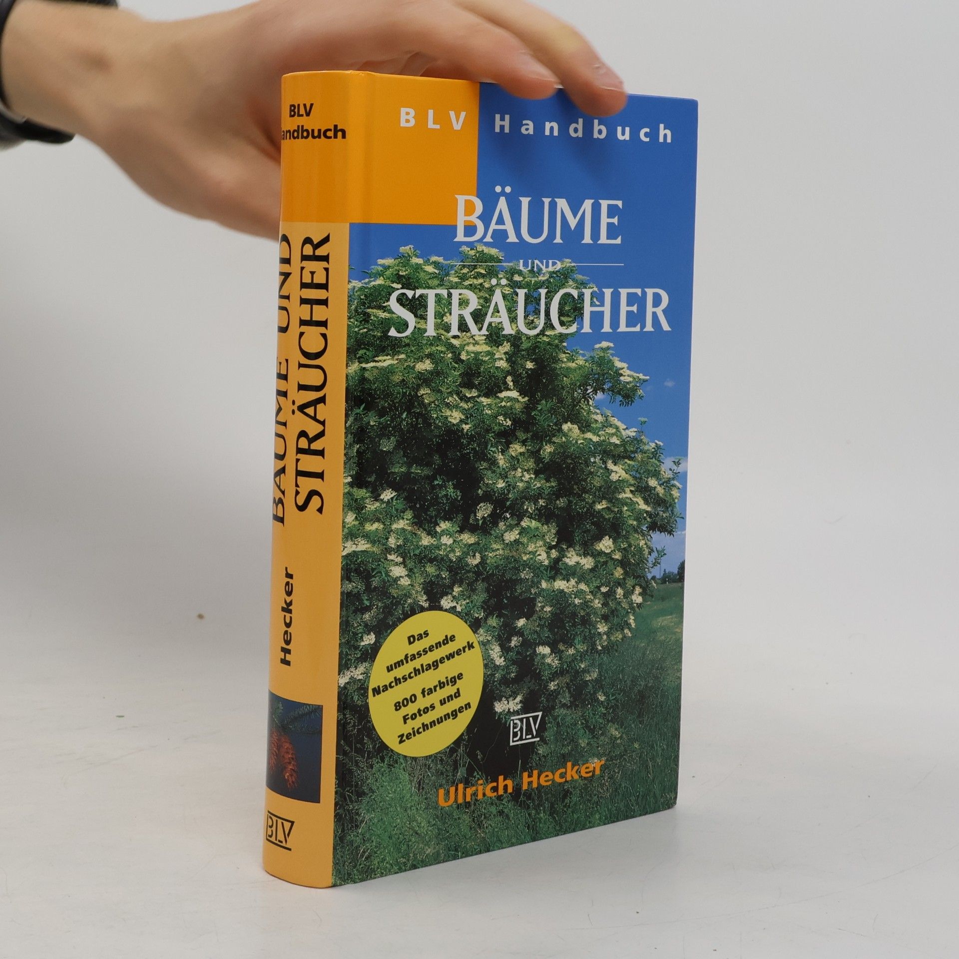 Hans-Ulrich Hecker BLV-Handbuch Bäume und Sträucher